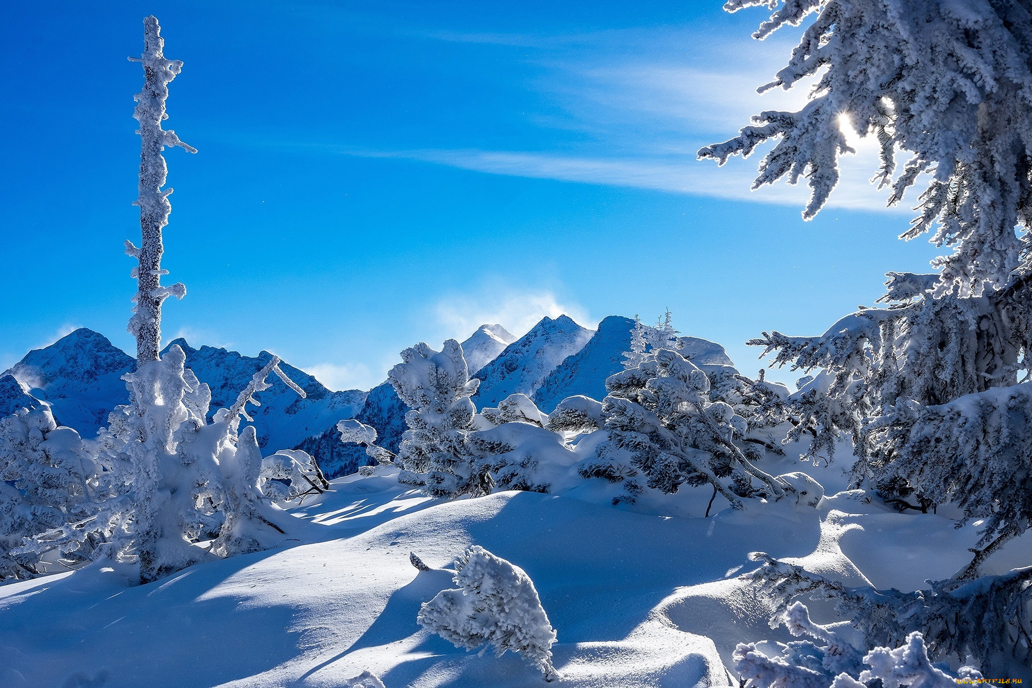 природа, зима, ели, тени, штирия, сугробы, альпы, австрия, горы, деревья, пейзаж, снег