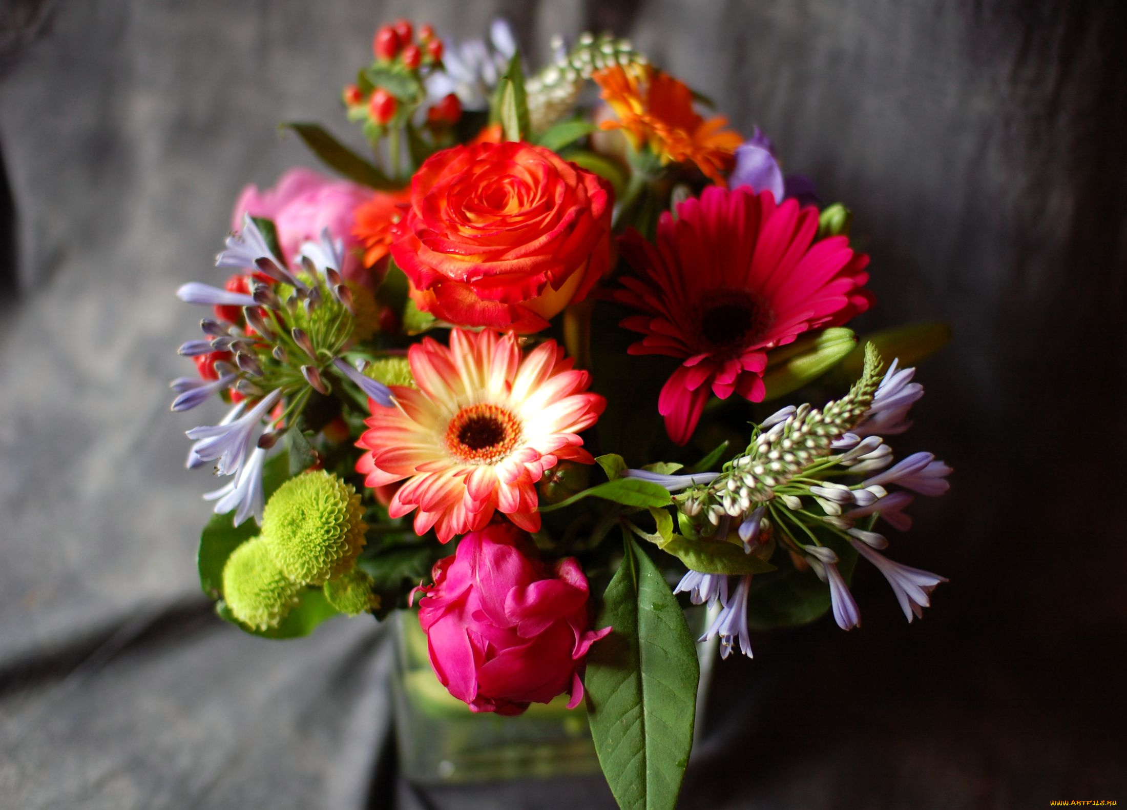 цветы, букеты, композиции, роза, агапантус, гербера, хризантема