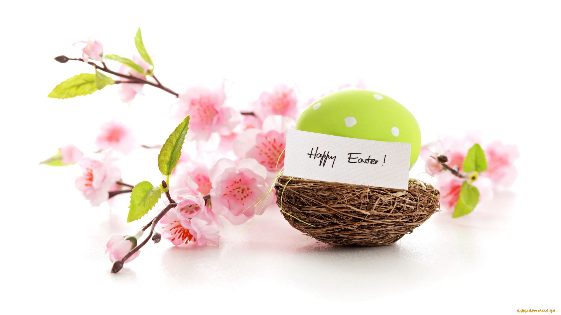 праздничные, пасха, цветы, яйца, весна, pastel, eggs, пастель, delicate, blossom, nest, spring, flowers, pink, easter, happy