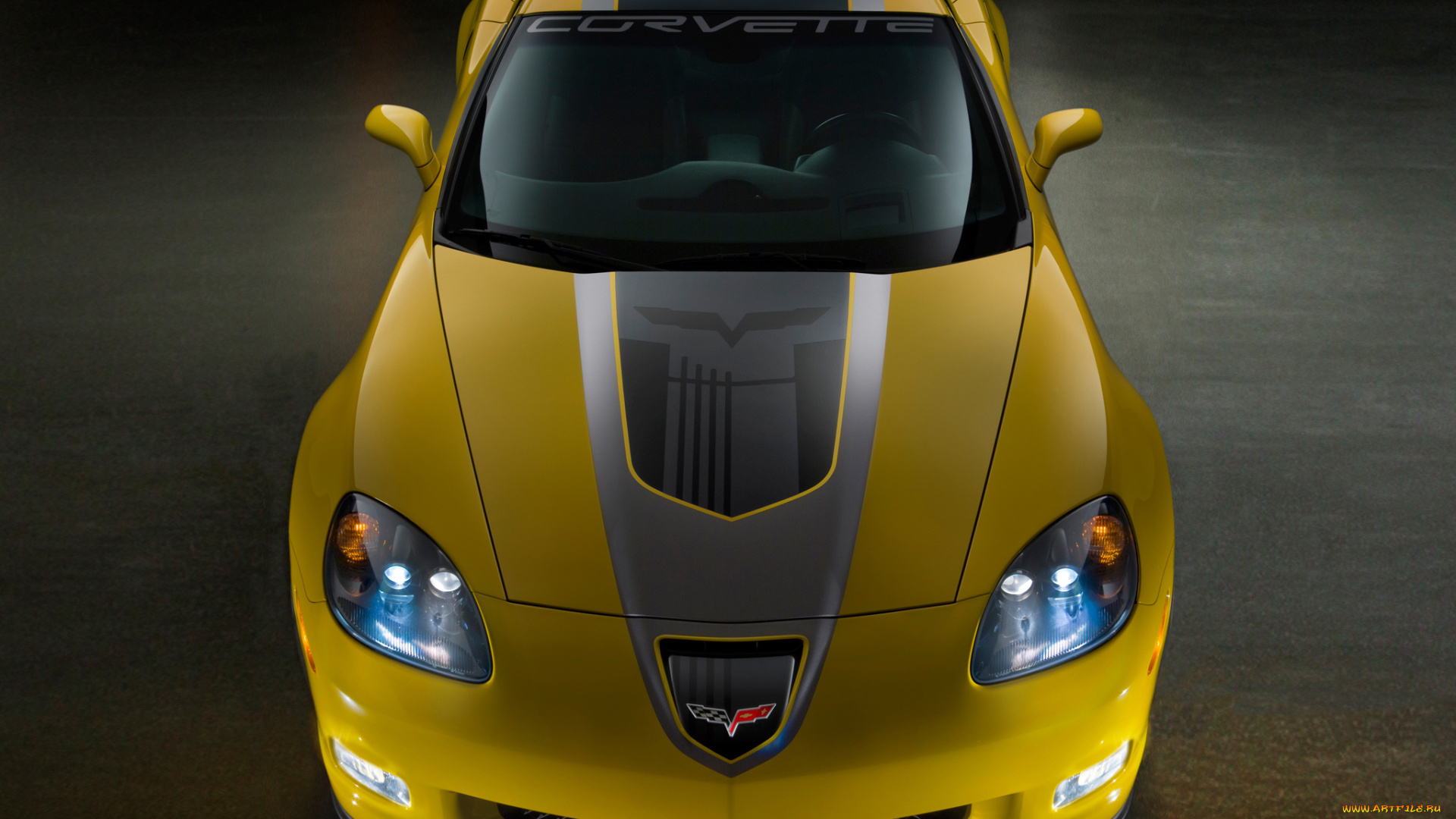 corvette, z06, gt1, championship, edition, 2009, автомобили, corvette, gt1, z06, 2009, edition, championship