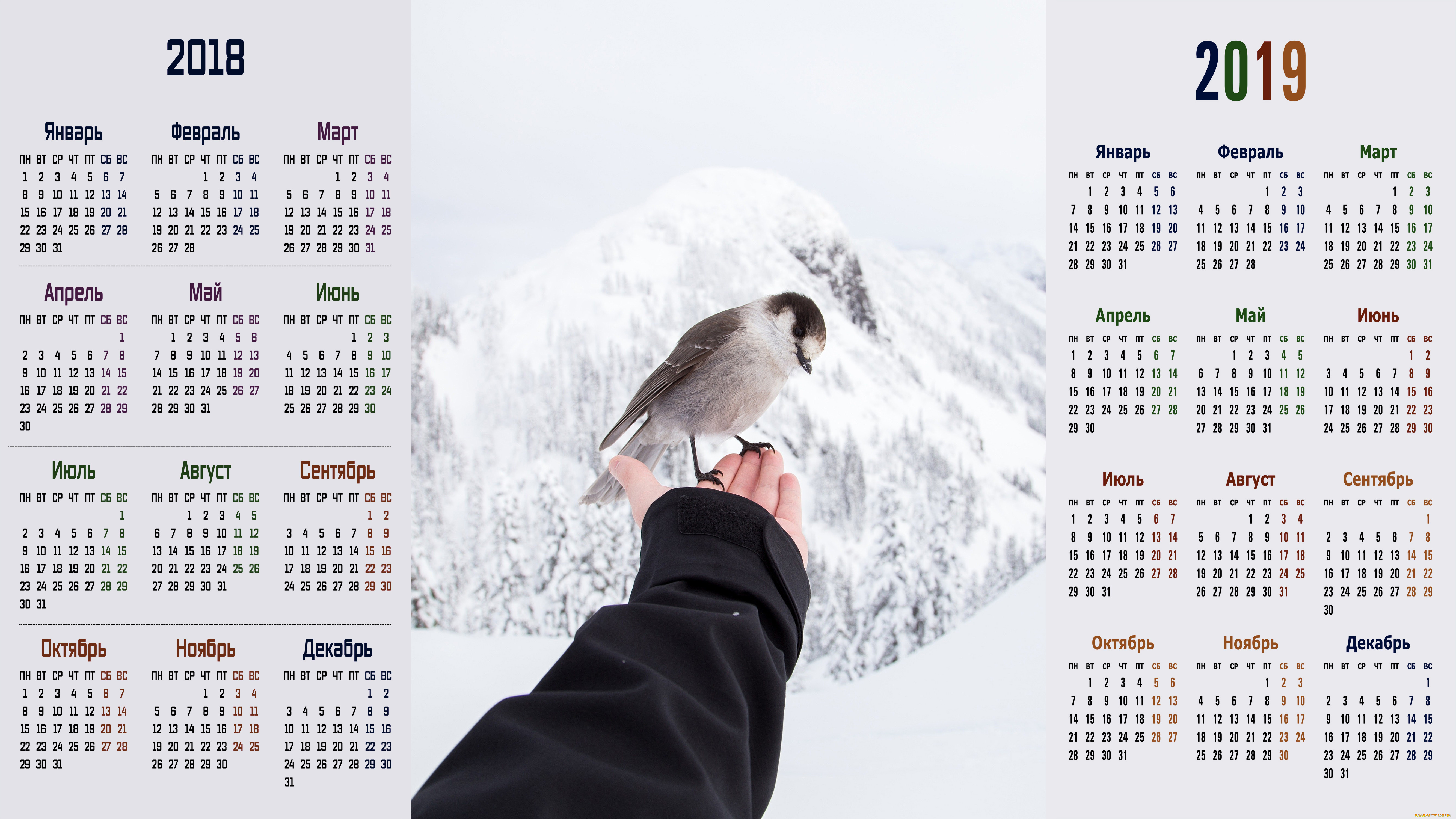 календари, животные, снег, рука, птица