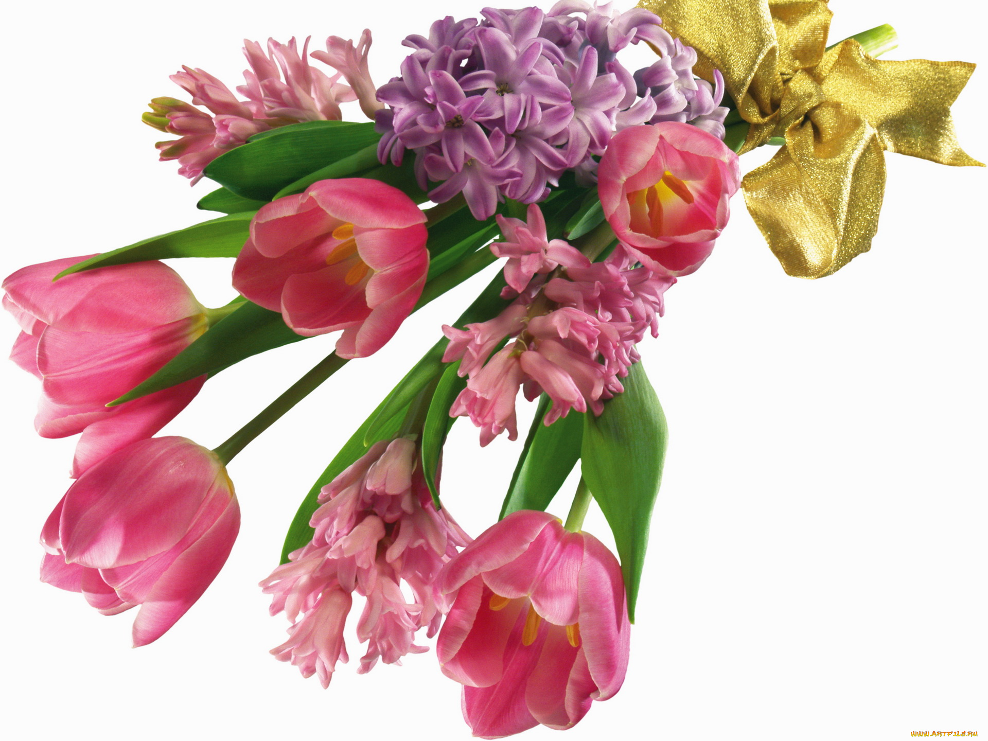 цветы, букеты, композиции, букет, тюльпаны