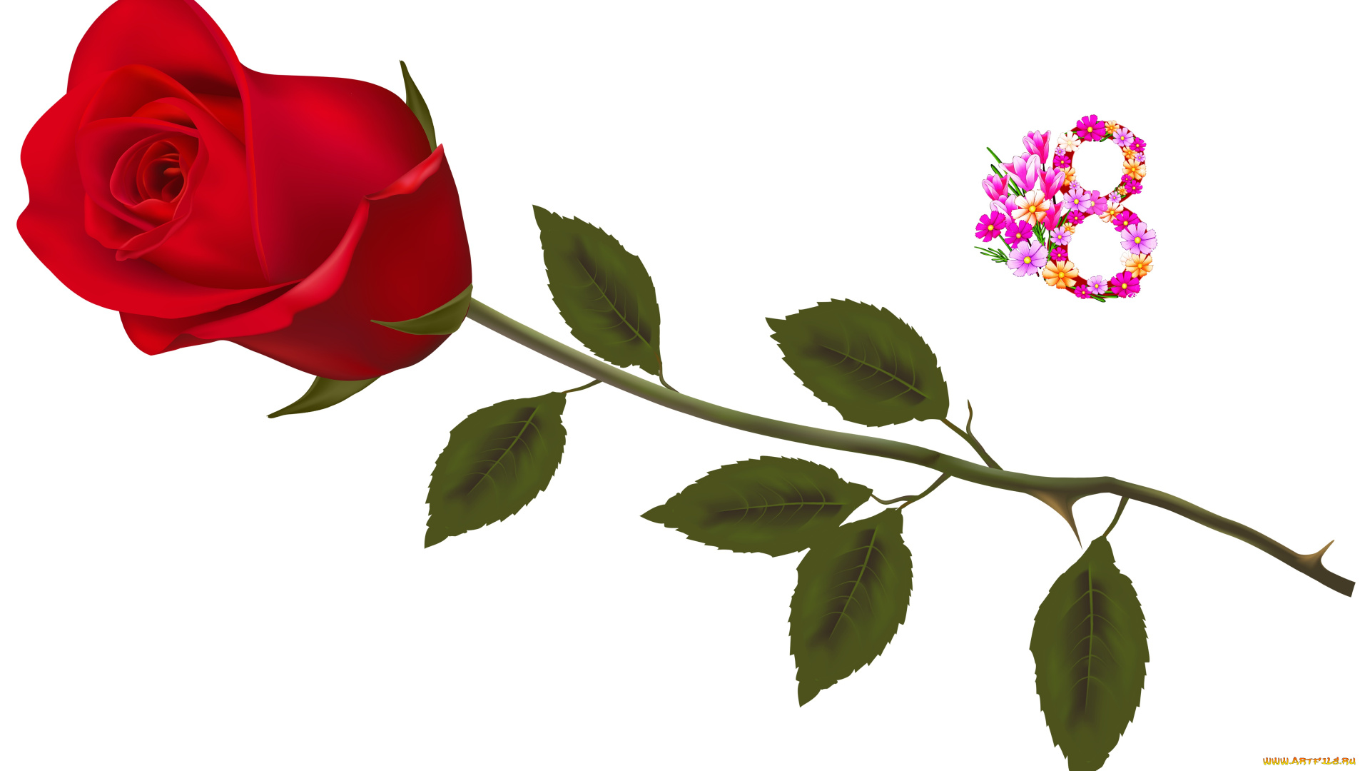 праздничные, международный, женский, день, -, 8, марта, фон, цветы, роза