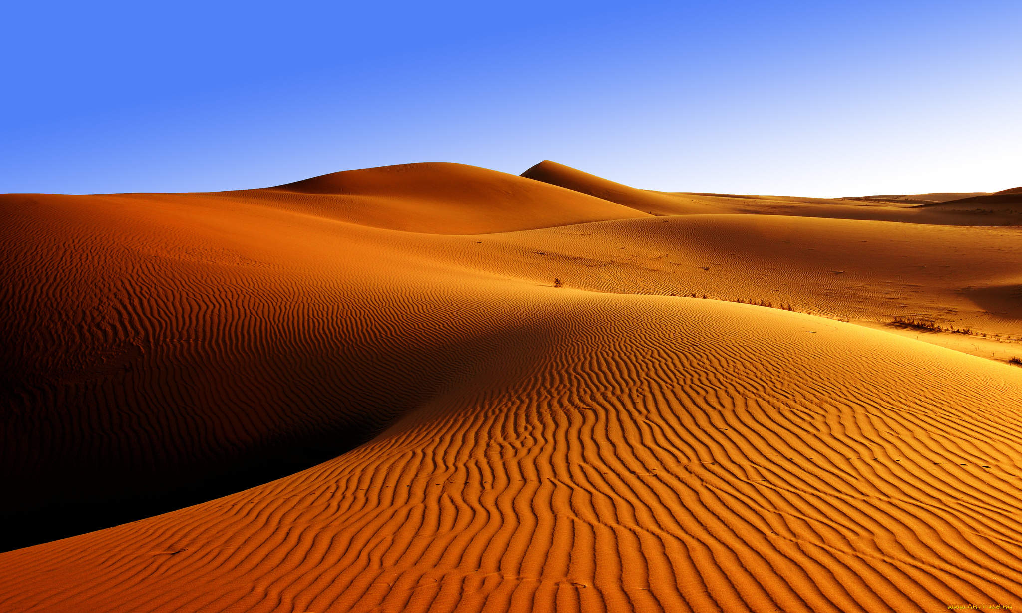 природа, пустыни, пески