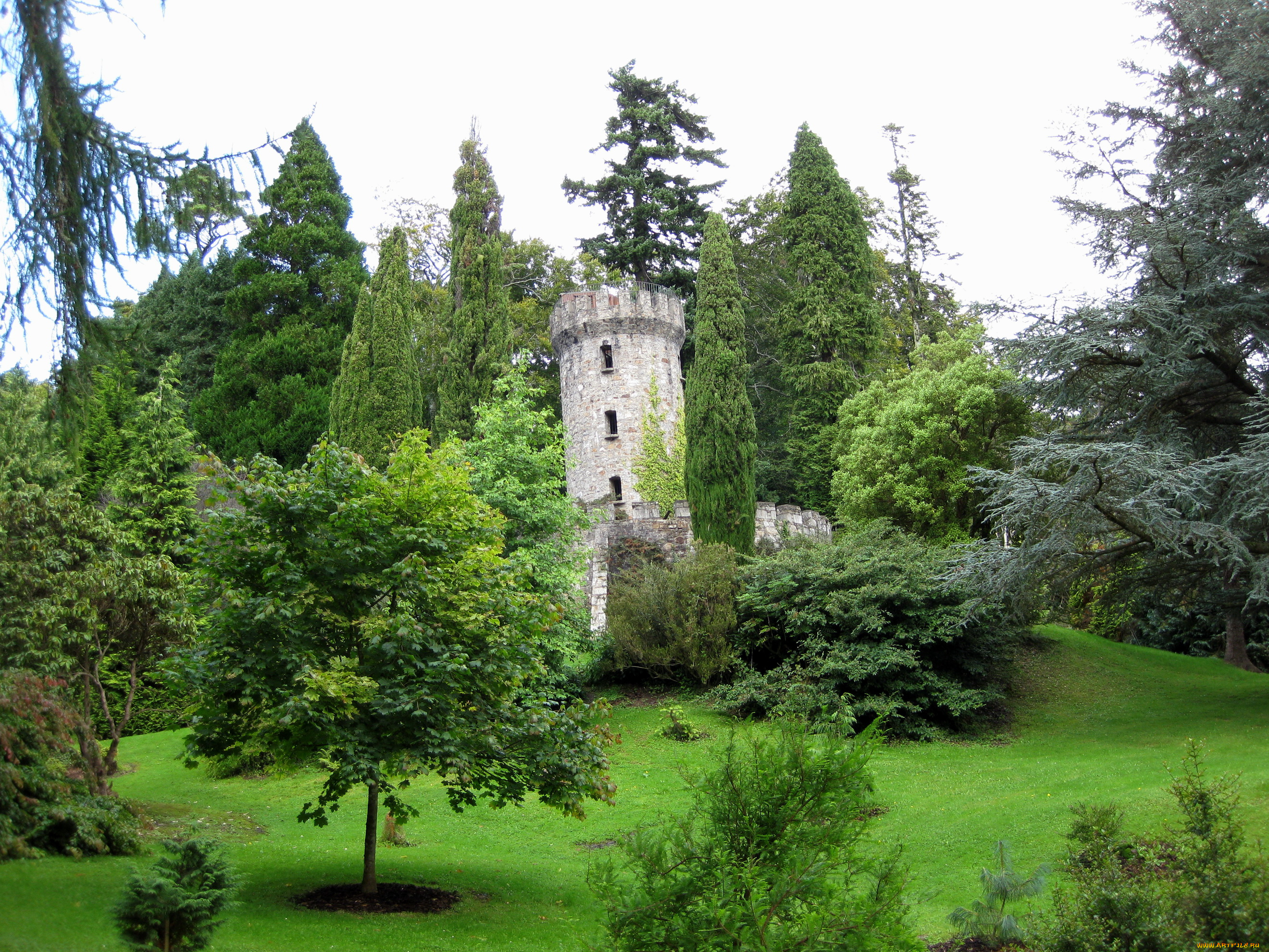 powerscourt, gardens, ирландия, эннискерри, природа, парк, 