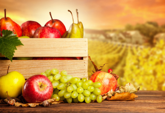 Картинка еда фрукты +ягоды груша тыква ящик листья орехи виноград грибы