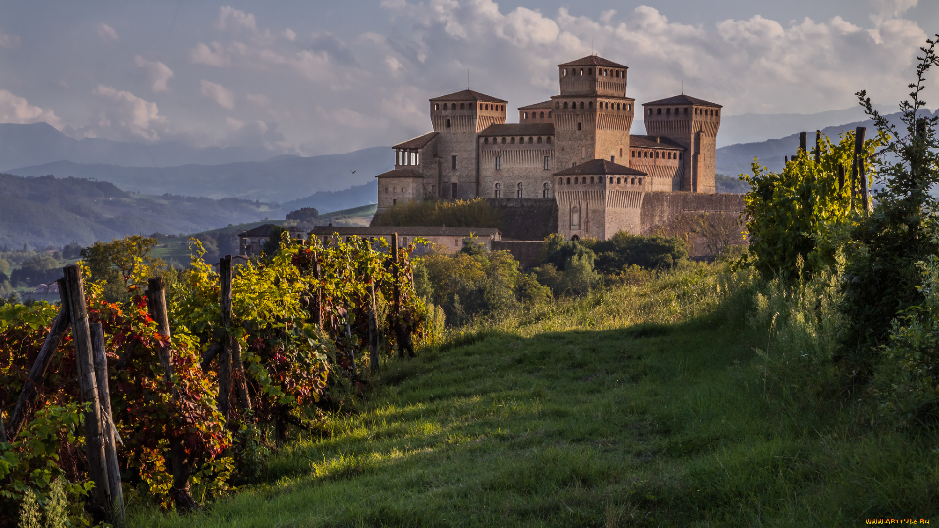 castello, di, torrechiara, , provincia, di, parma, города, замки, италии, замок, виноградник