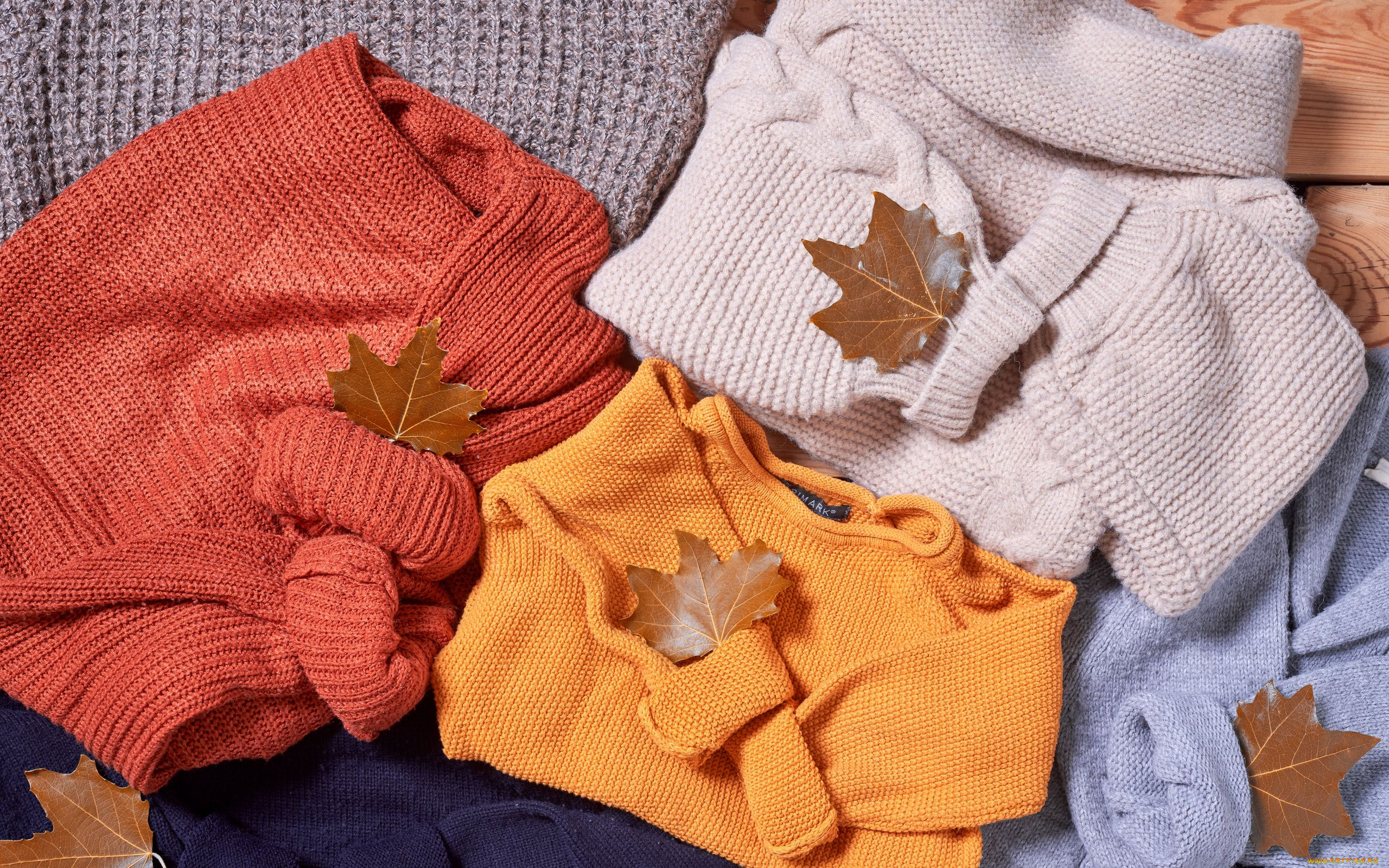 разное, одежда, , обувь, , текстиль, , экипировка, свитера, листья, осень