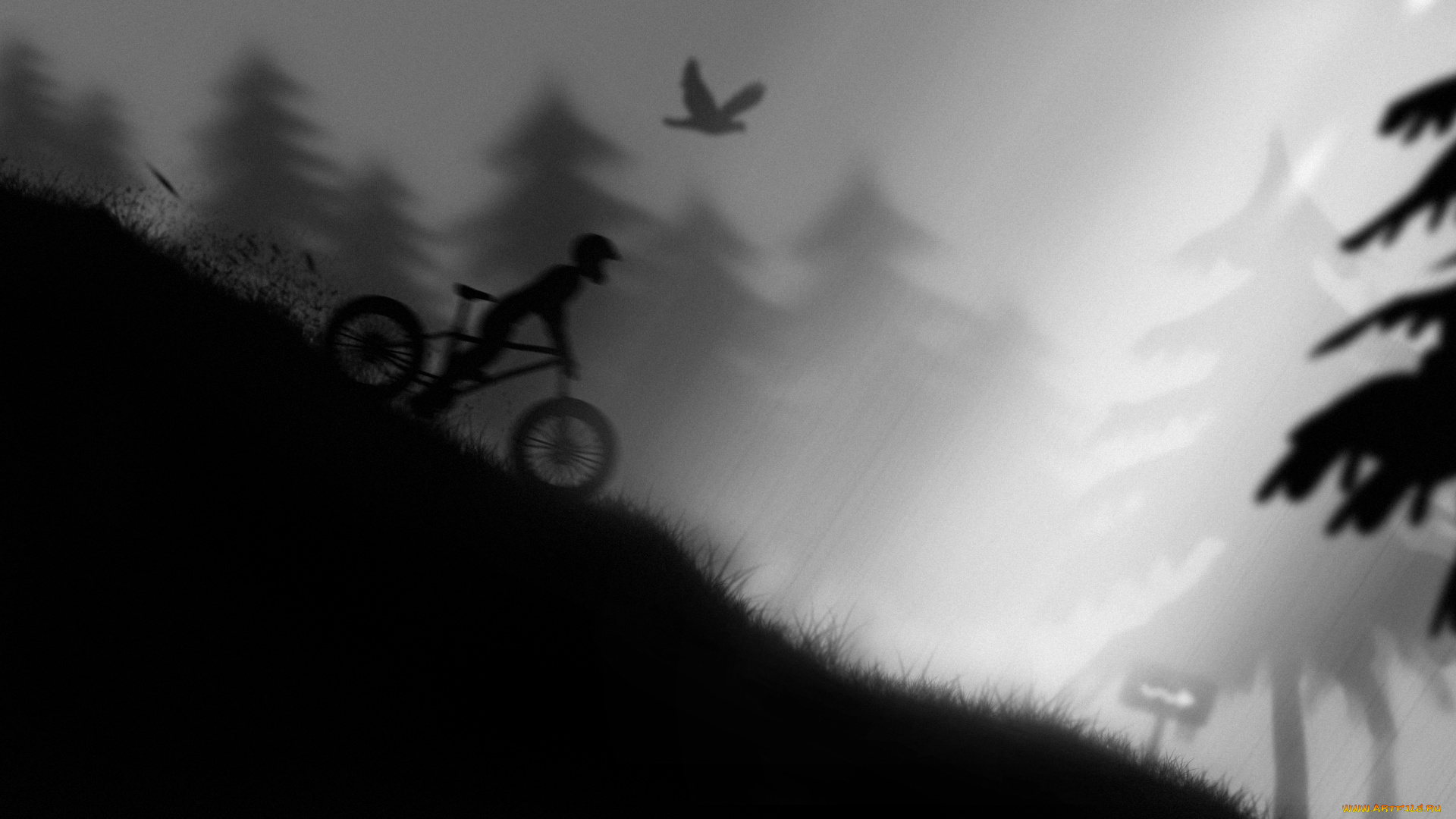 ночной, гонщик, рисованные, другое, лес, черно-белое, велосипед