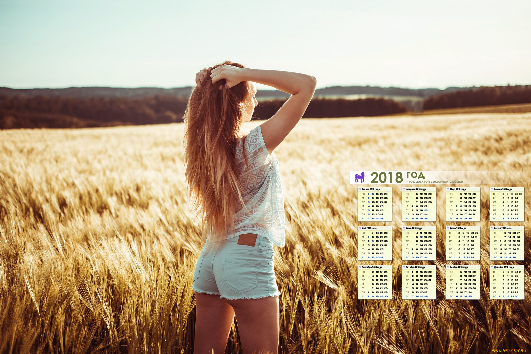 календари, девушки, поле, растения