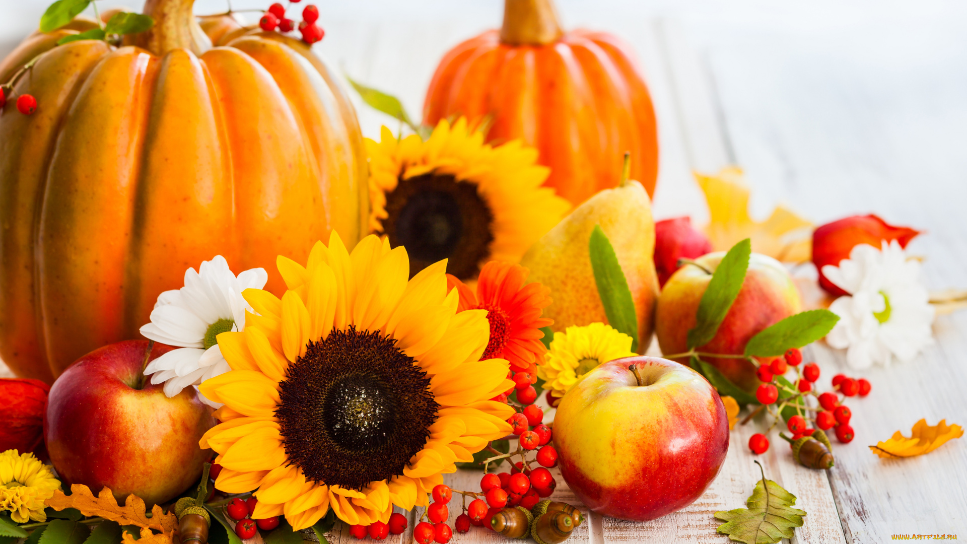 еда, фрукты, и, овощи, вместе, осень, листья, ягоды, желуди, урожай, яблоки, фрукты, подсолнухи, тыква, груши, sunflower, pumpkin, harvest, autumn