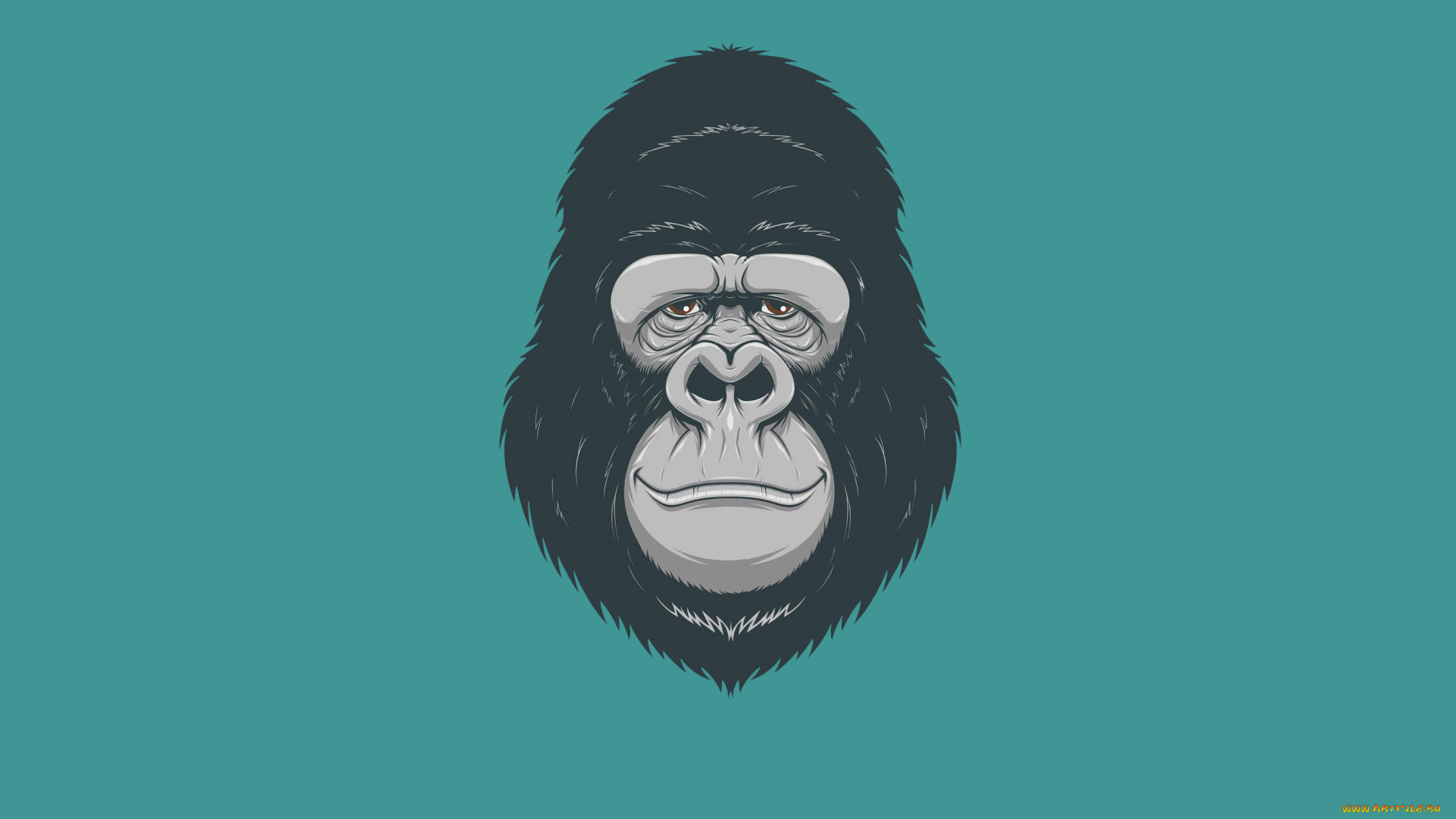 рисованное, минимализм, обезьяна, monkey, голова, gorilla, горилла