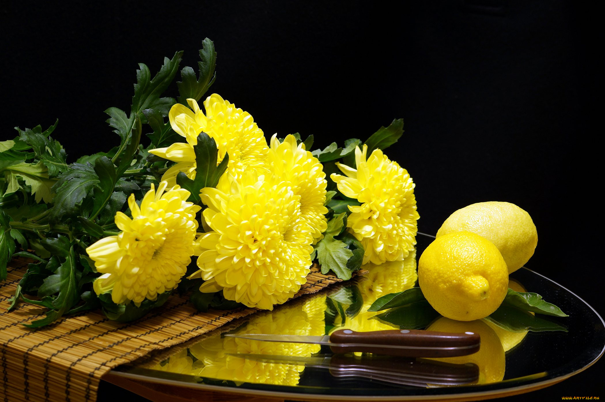 еда, цитрусы, цветы, хризантемы, нож, цитрус, лимон