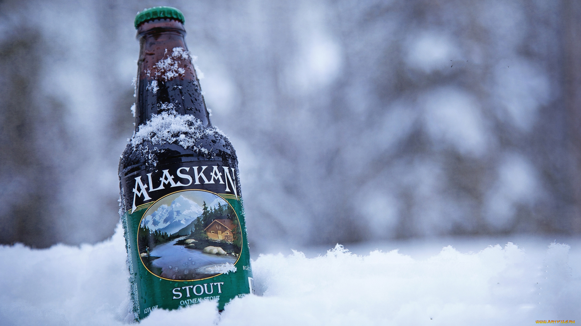 бренды, бренды, напитков, , разное, пиво, зима, снег, бутылка