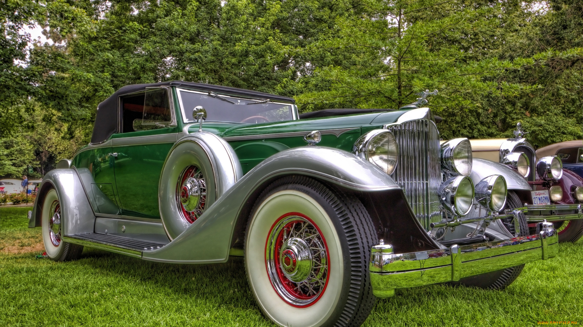 1933, packard, series, 1105, convertible, coupe, автомобили, выставки, и, уличные, фото, выставка, автошоу