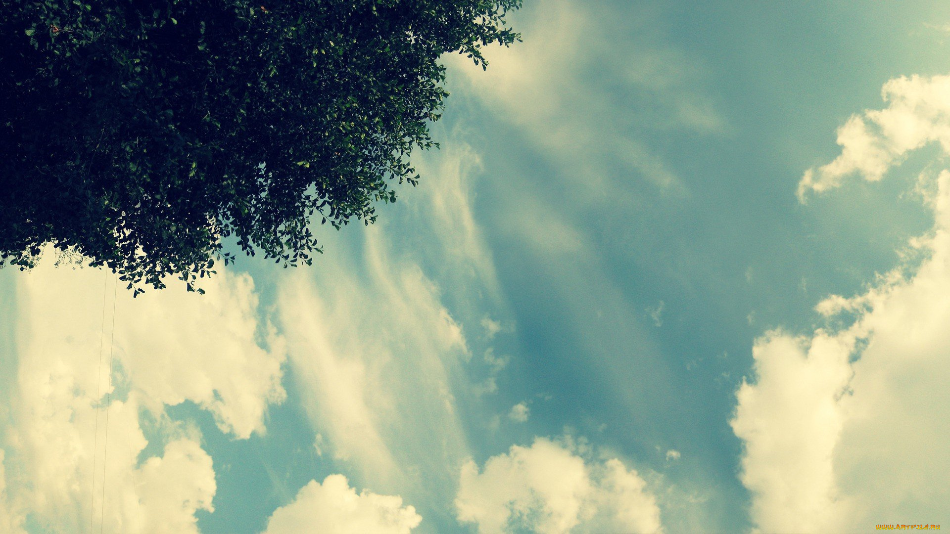 природа, облака, дерево, небо