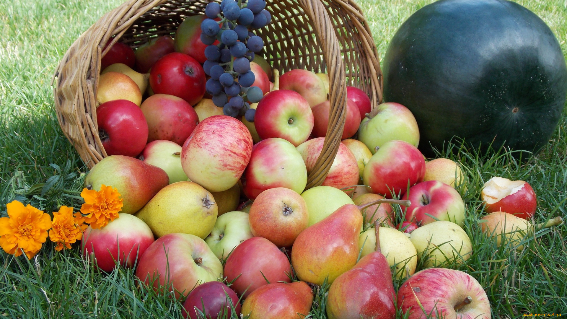 еда, фрукты, ягоды, арбузы, яблоки