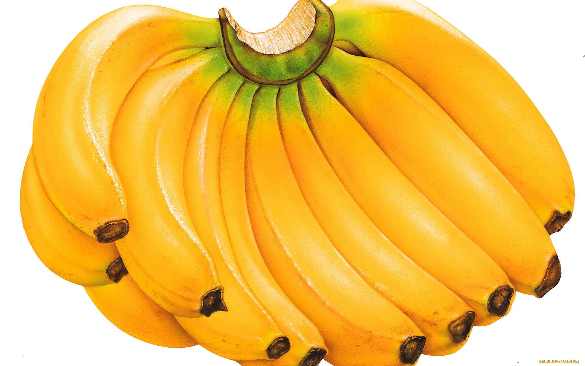 еда, бананы, гроздь