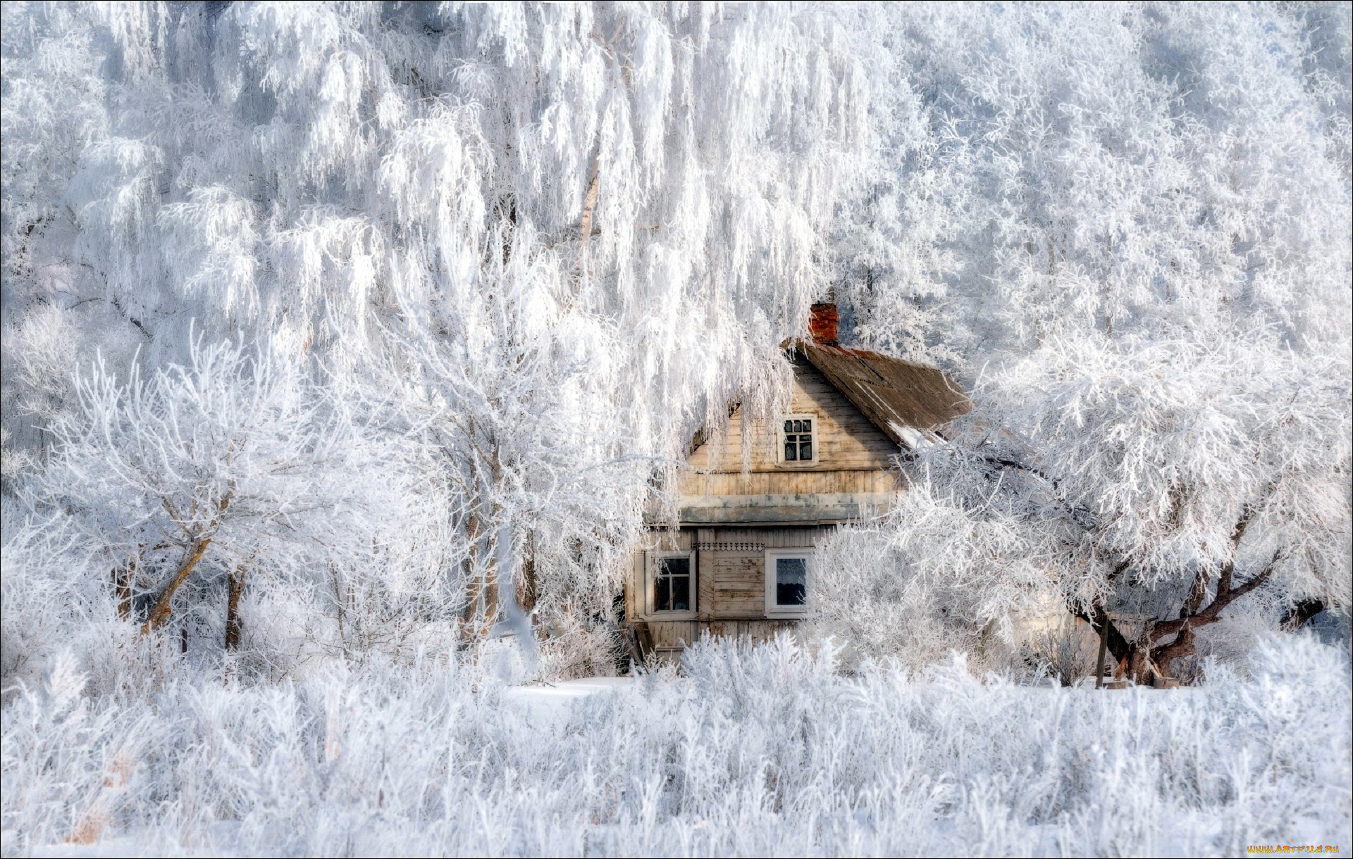 города, -, здания, , дома, зима, дом, жилой, деревья, иней, снег