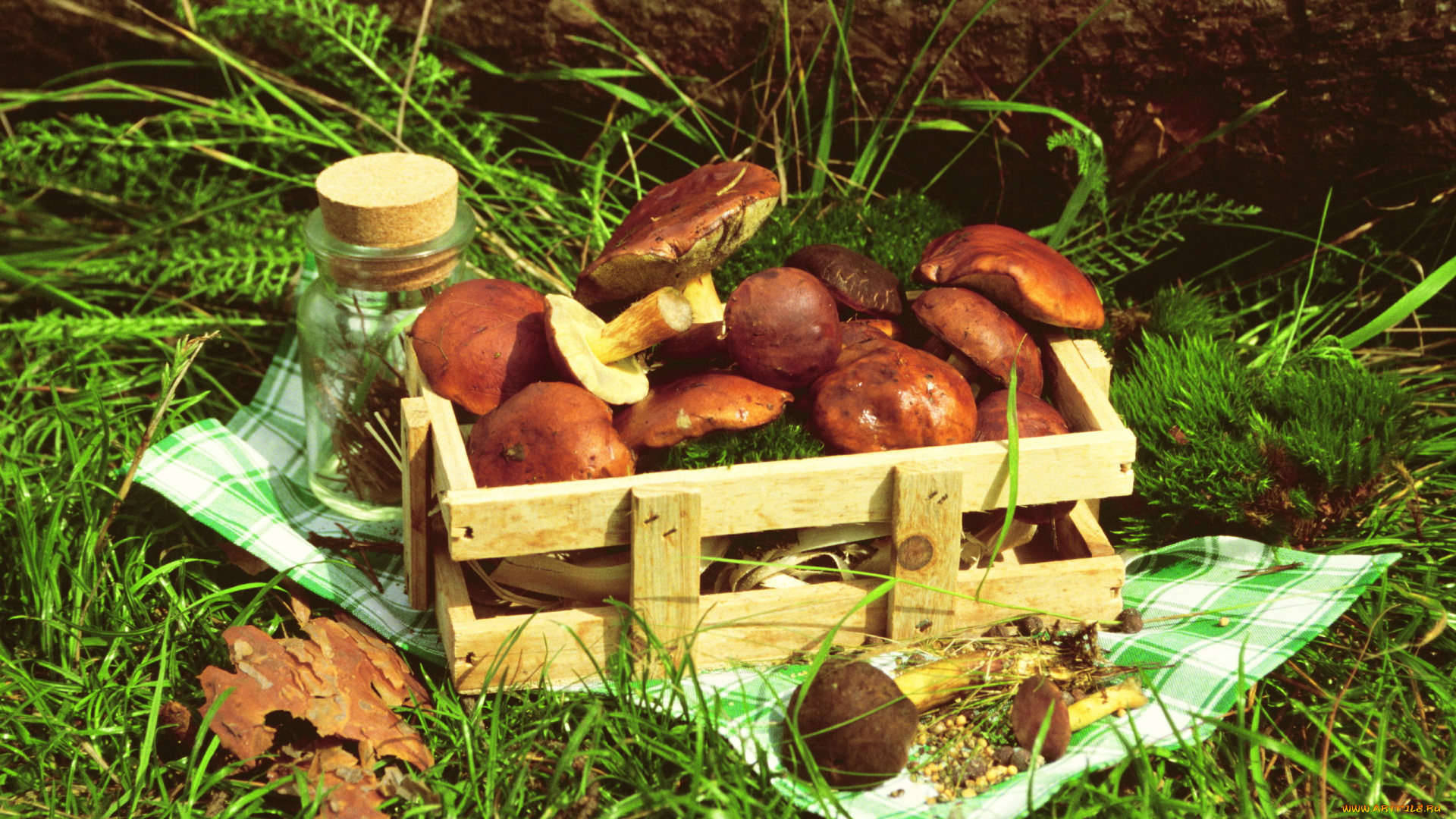 еда, грибы, , грибные, блюда, трава, ящик, лесные