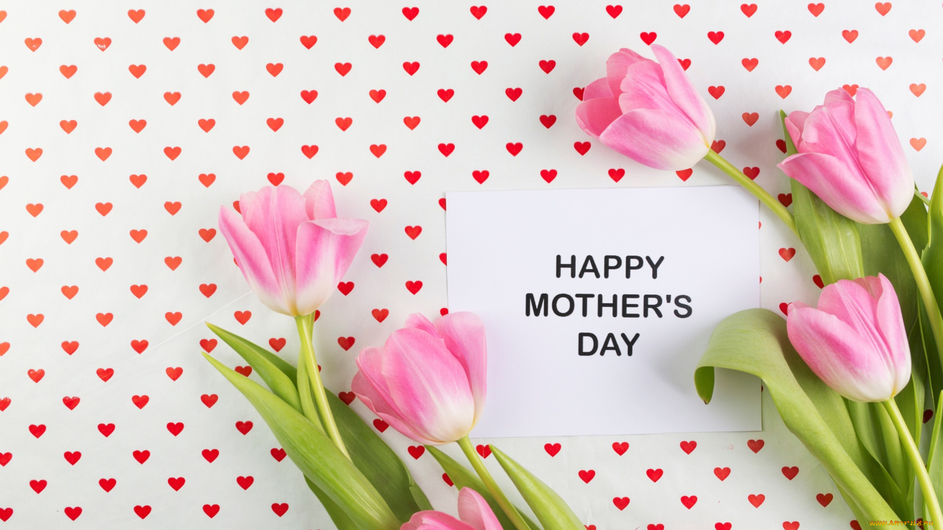 праздничные, день, матери, цветы, pink, fresh, mother's, day, розовые, flowers, spring, tender, tulips, тюльпаны