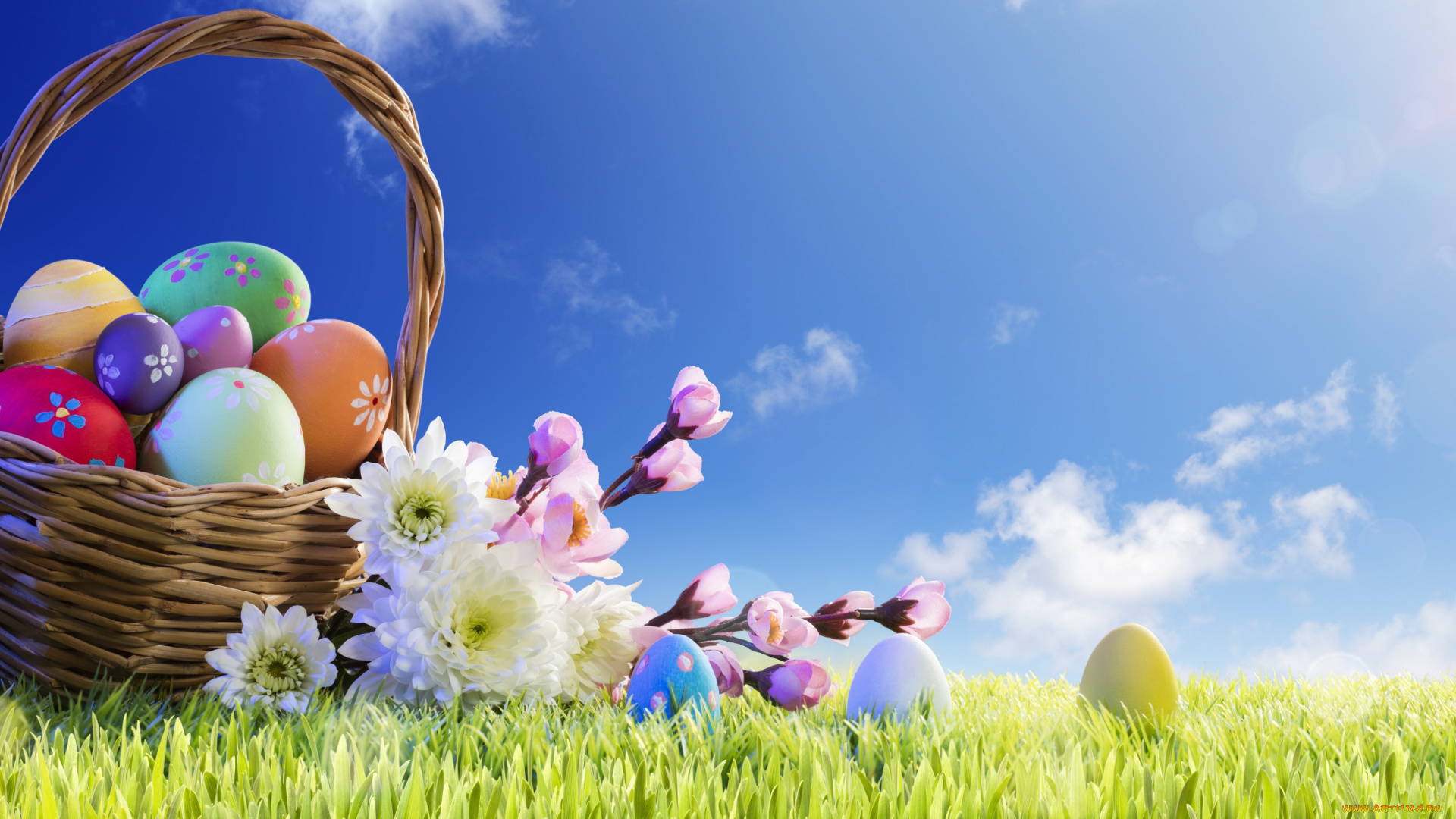праздничные, пасха, весна, корзина, солнце, easter, трава, happy, цветы, яйца, крашеные, spring, flowers, eggs, decoration