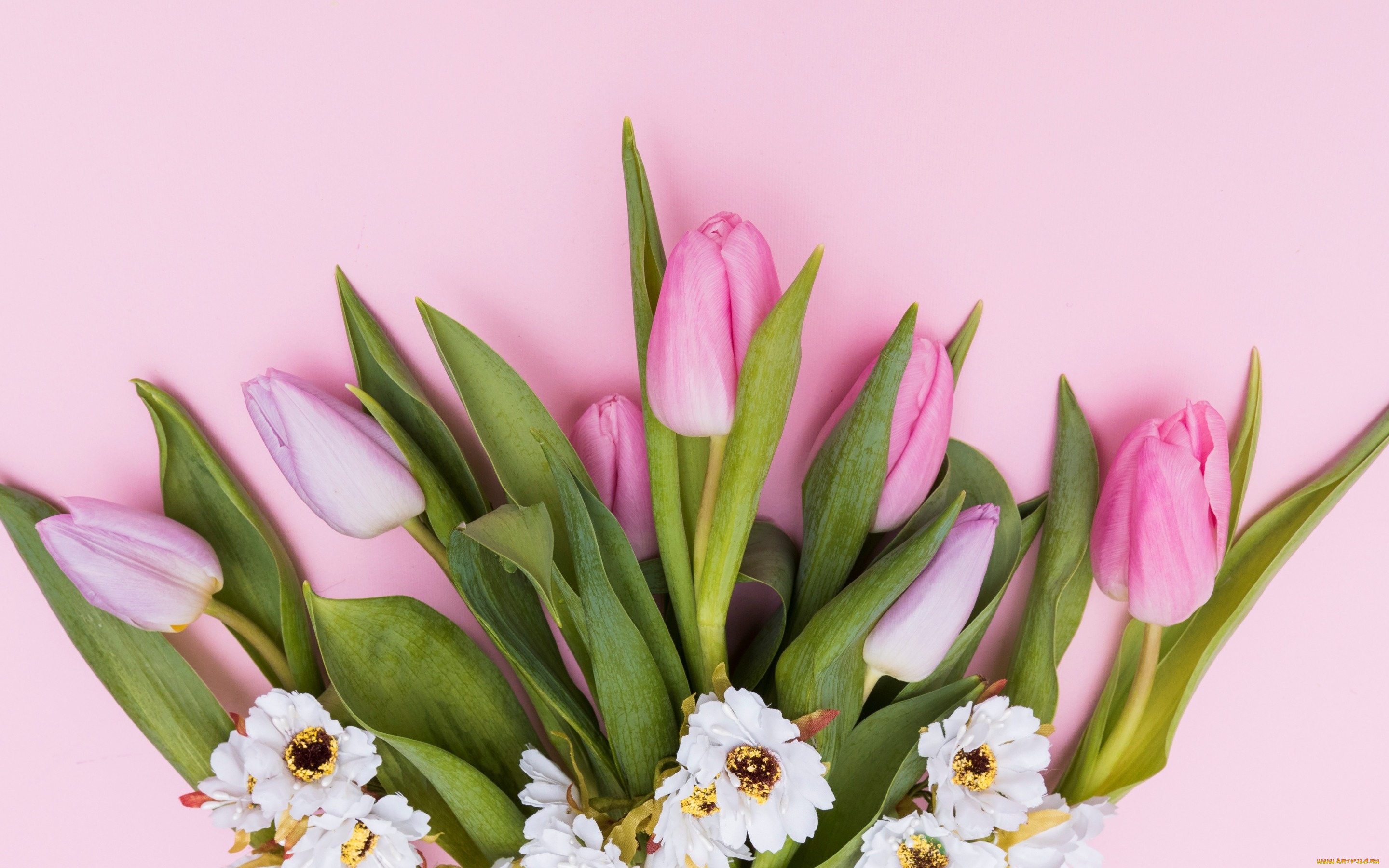 цветы, разные, вместе, flowers, spring, tender, tulips, тюльпаны, pink, fresh, розовые