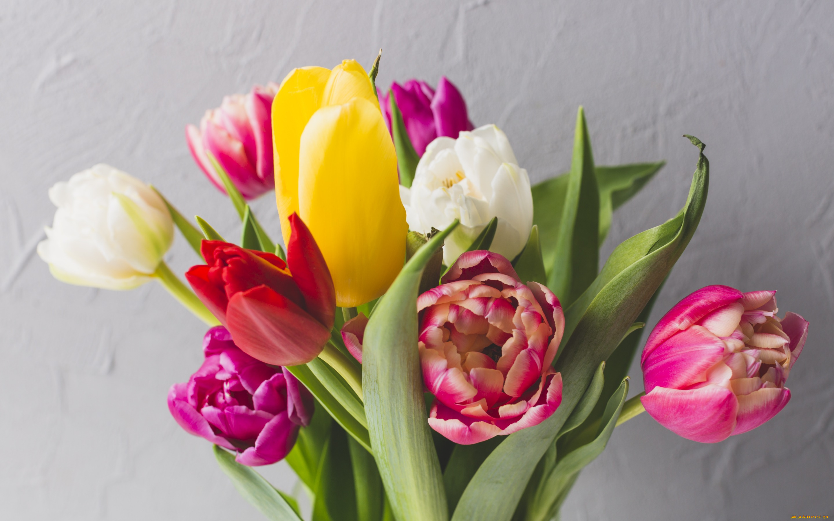цветы, тюльпаны, яркие, bright, tulips, colorful, fresh, весна, flowers, букет, spring
