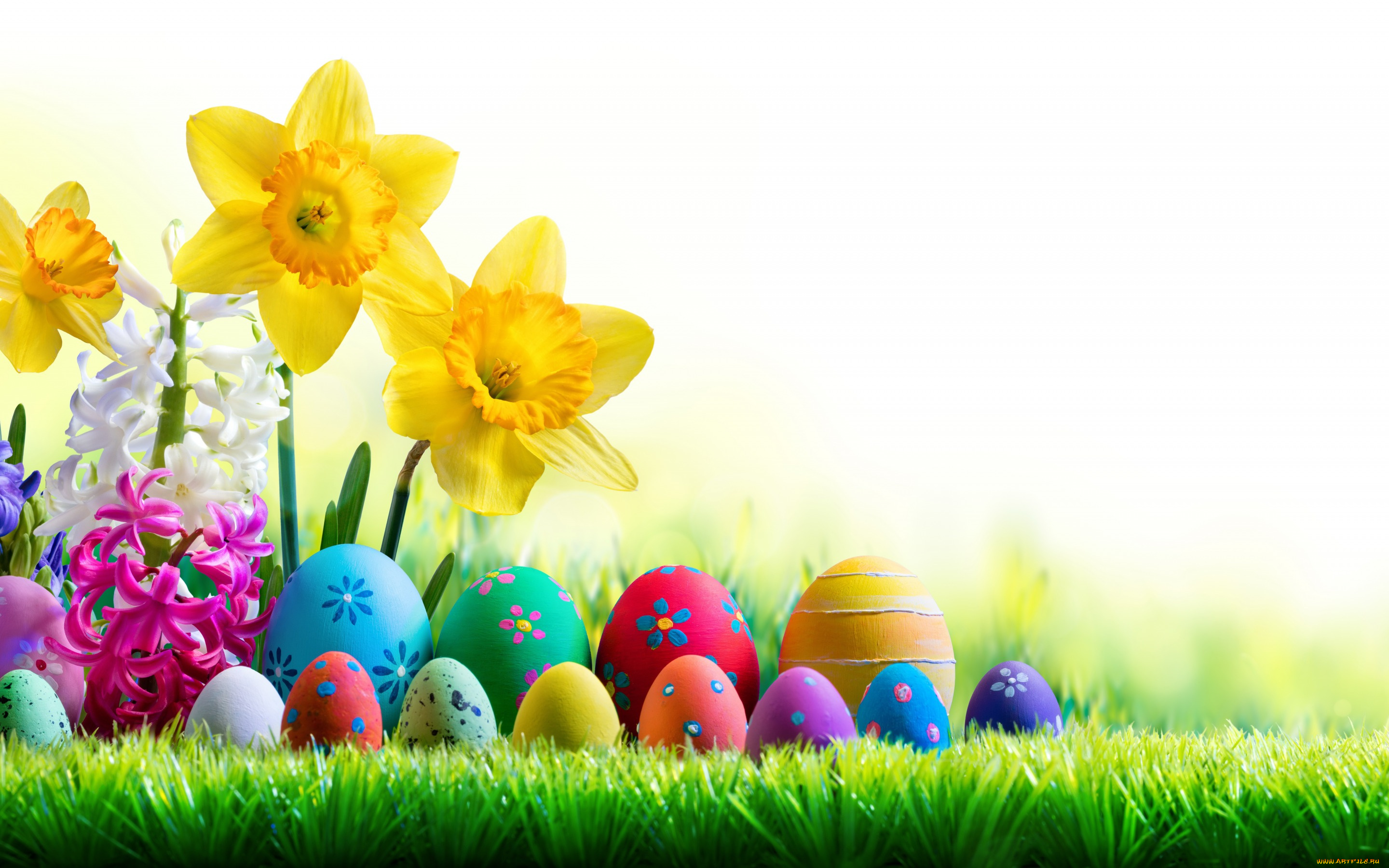 праздничные, пасха, весна, трава, небо, солнце, easter, нарциссы, happy, цветы, яйца, крашеные, spring, flowers, eggs, decoration