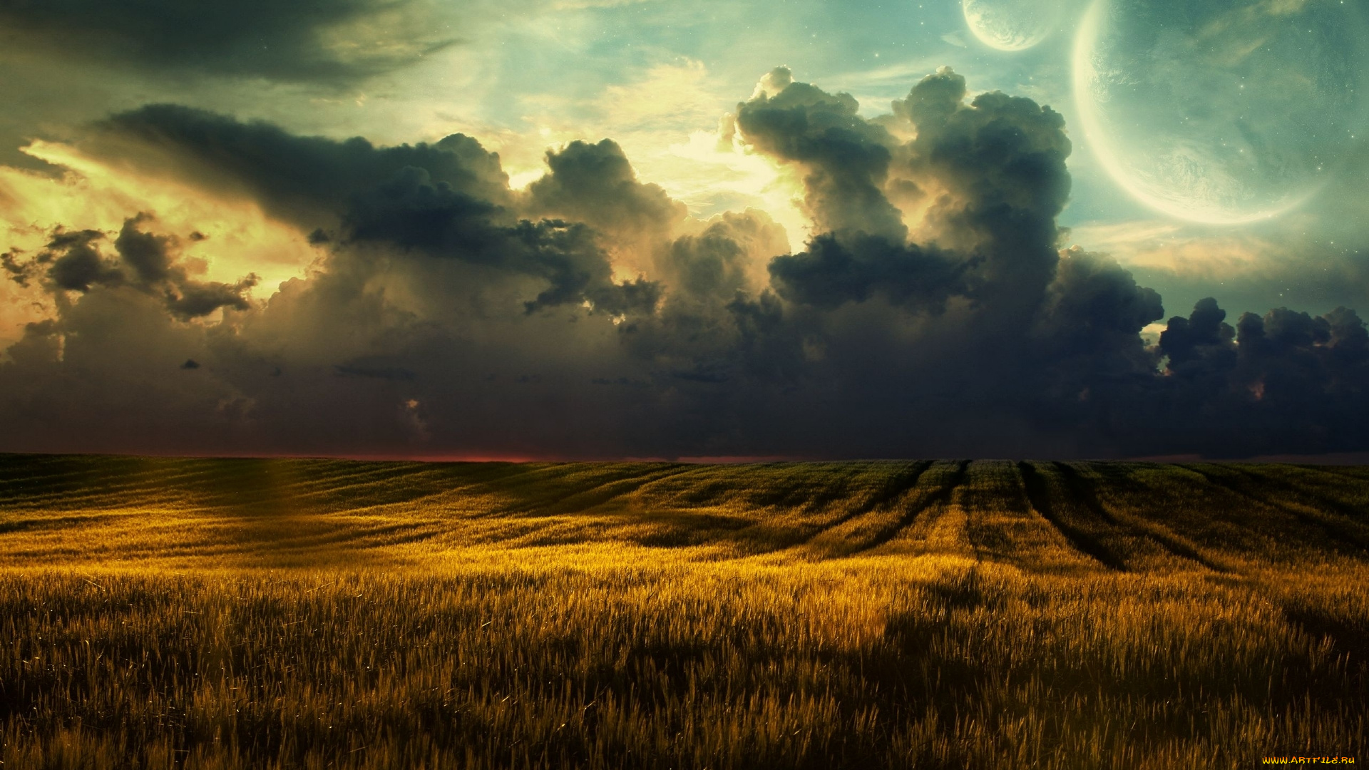 природа, поля, поле, облака, пшеница
