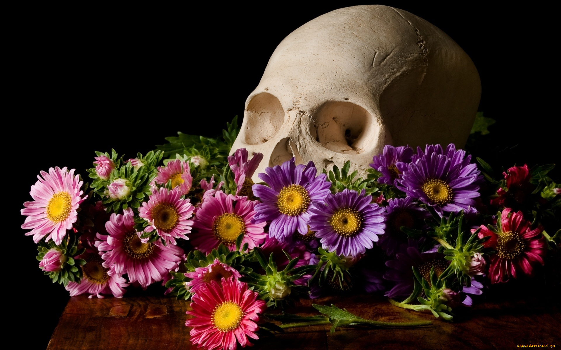 разное, кости, , рентген, цветы, череп
