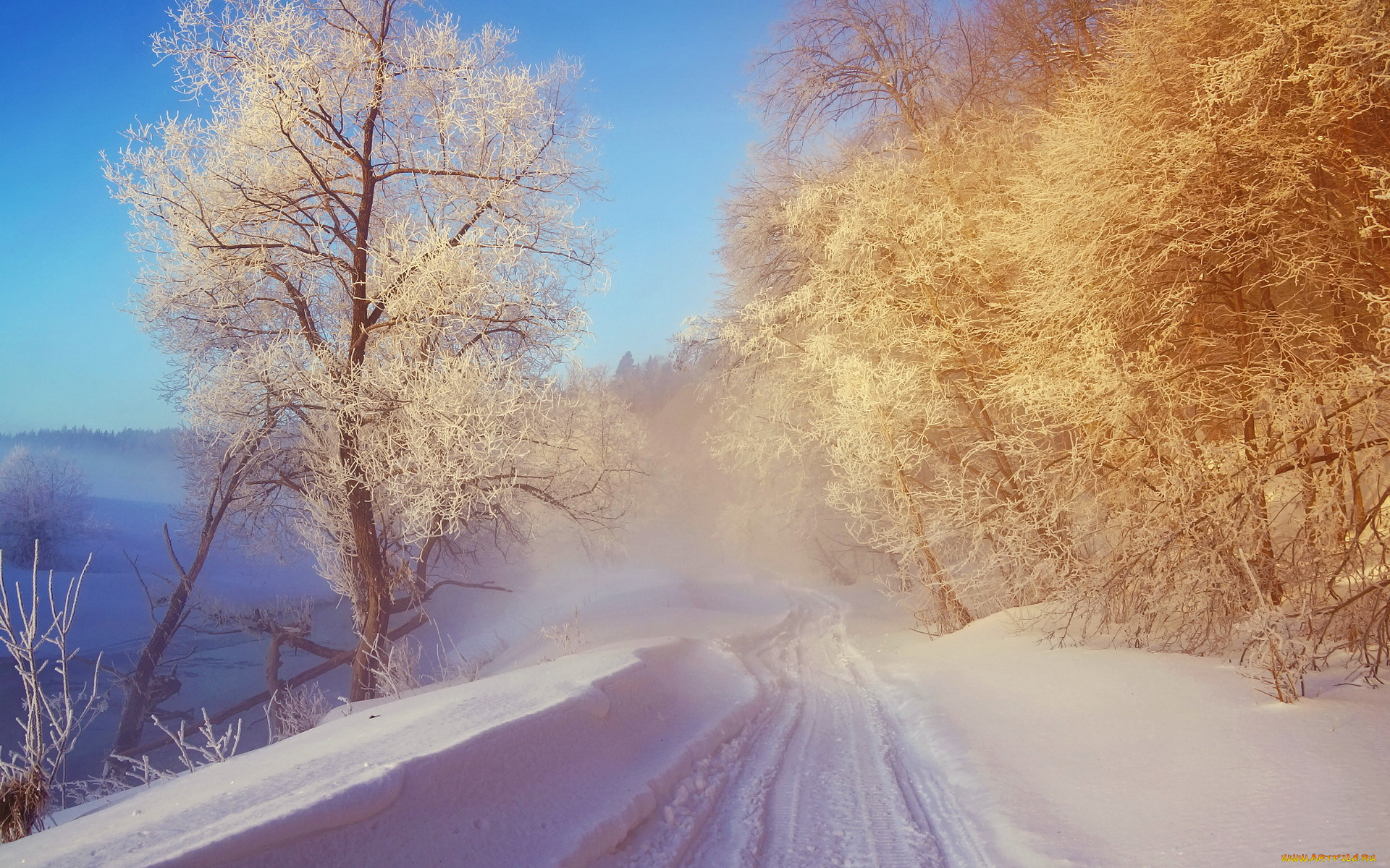 природа, зима, снег, пейзаж, иней