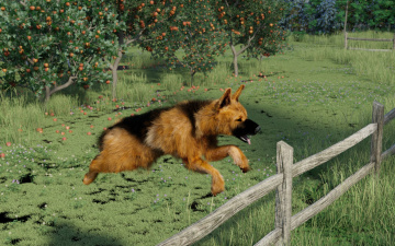 Картинка 3д+графика животные+ animals взгляд друг собака