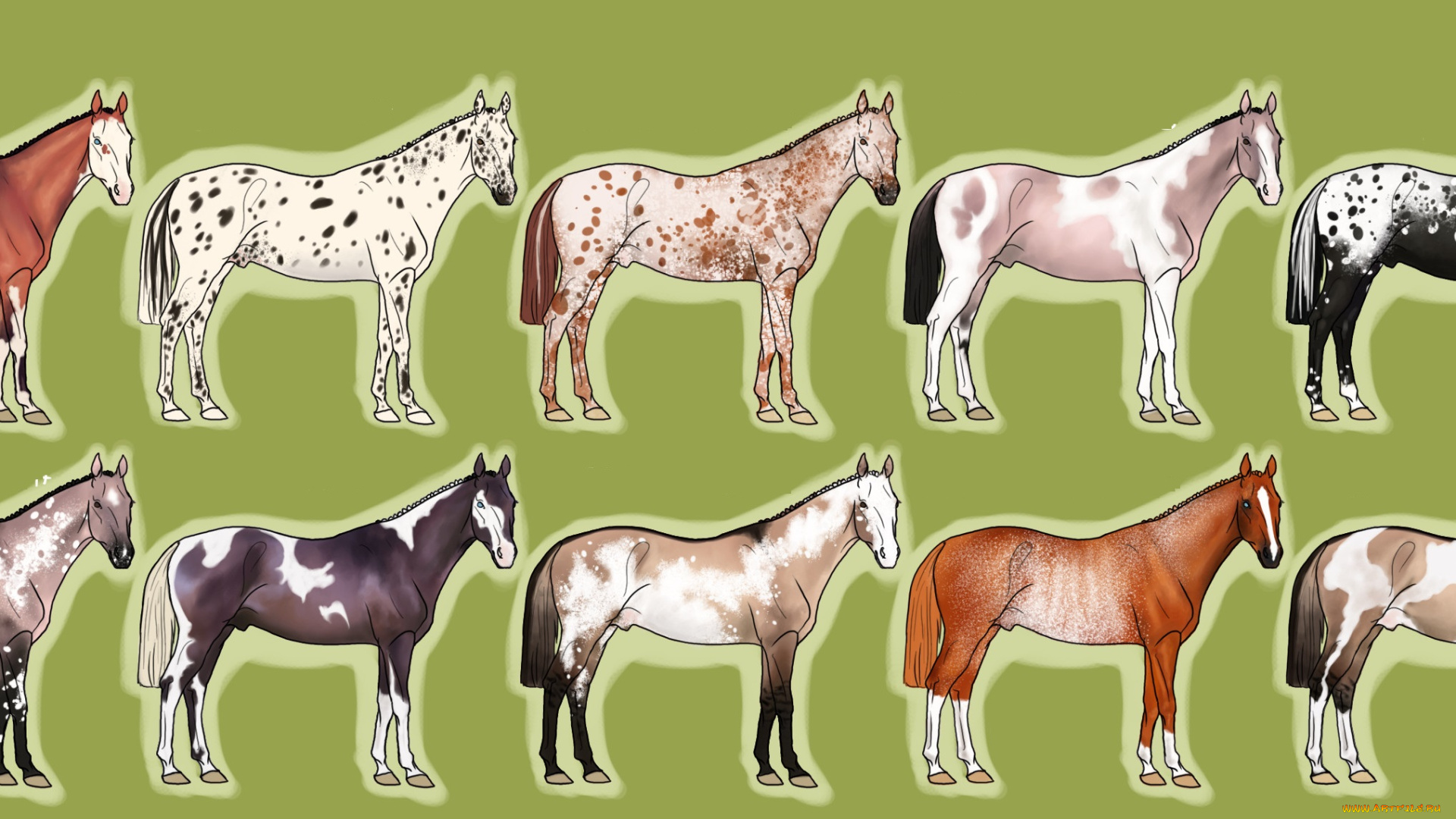 рисованные, животные, лошади