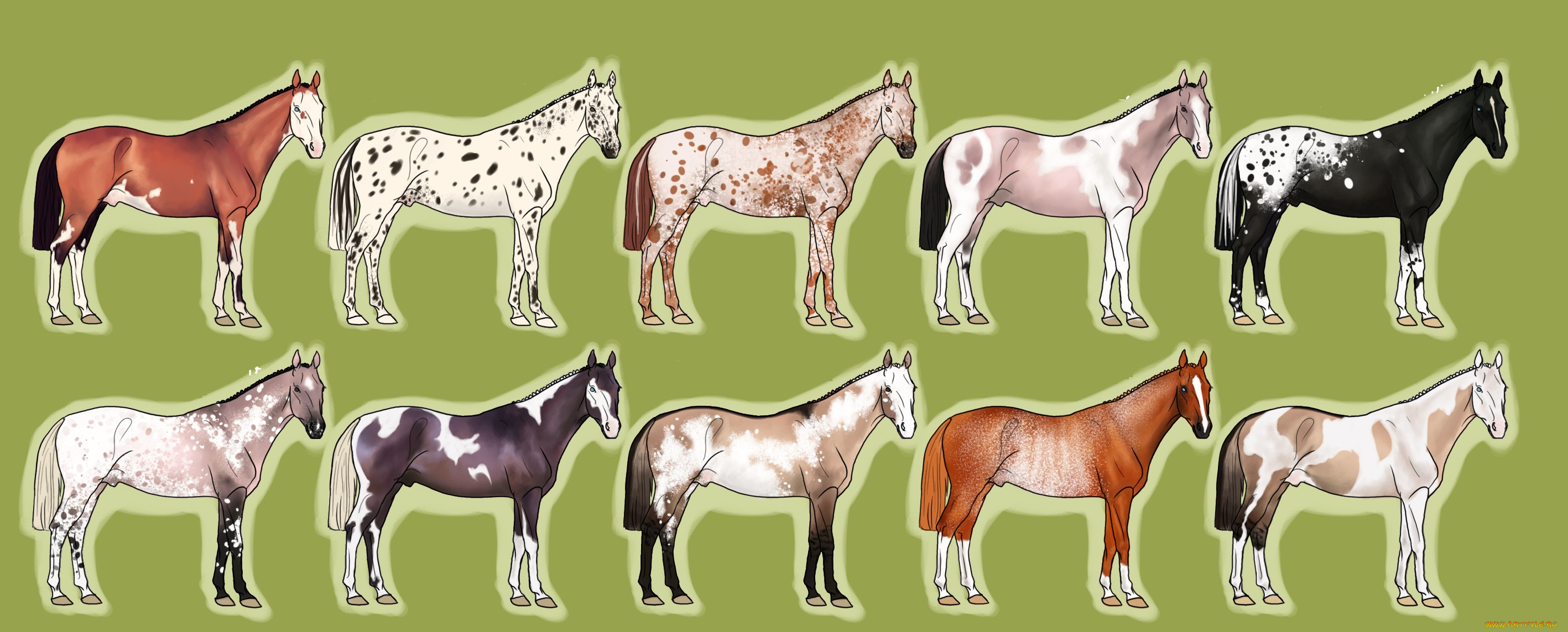 рисованные, животные, лошади