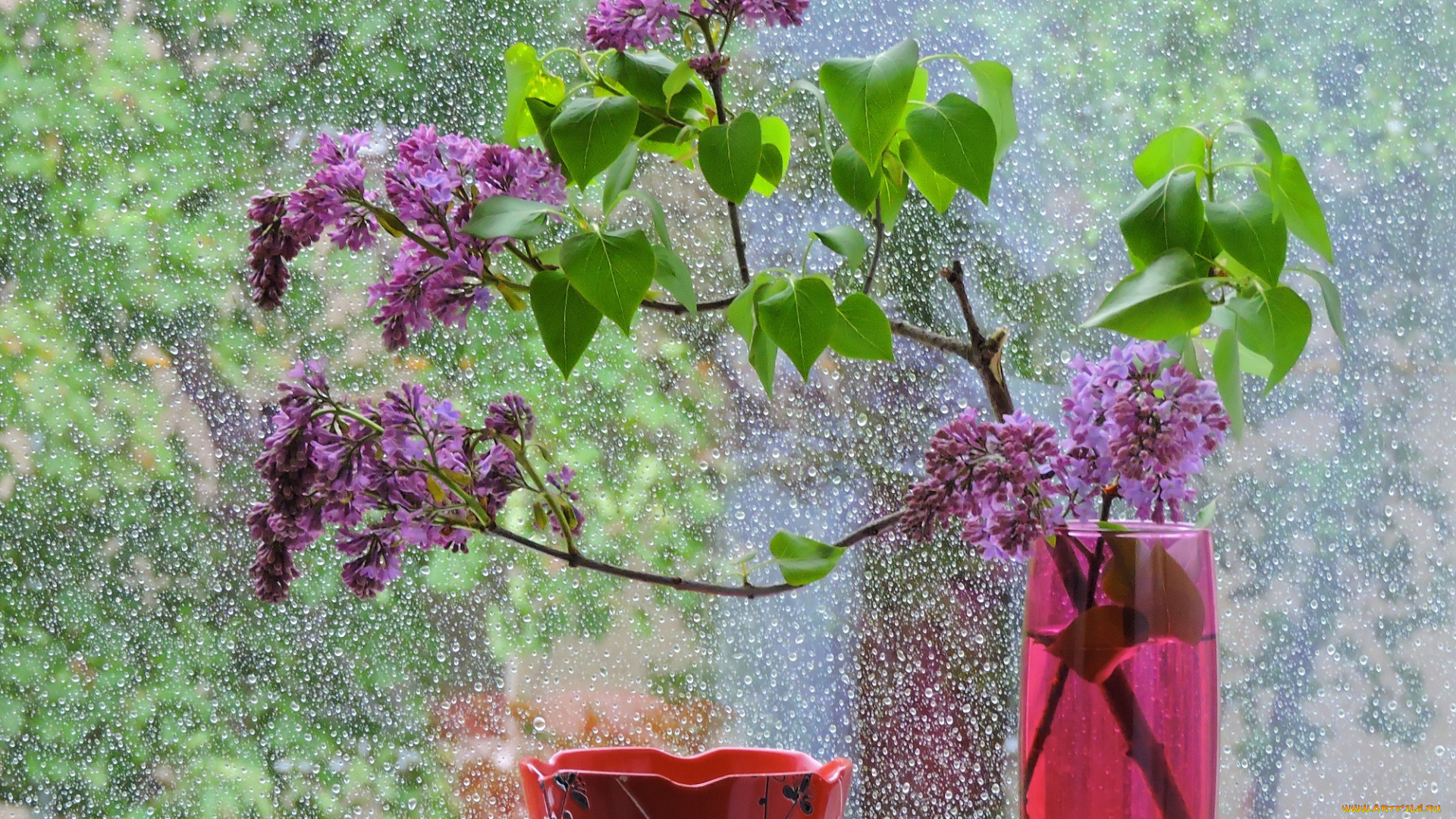 цветы, сирень, натюрморт, фото, настроение, окно, дождь