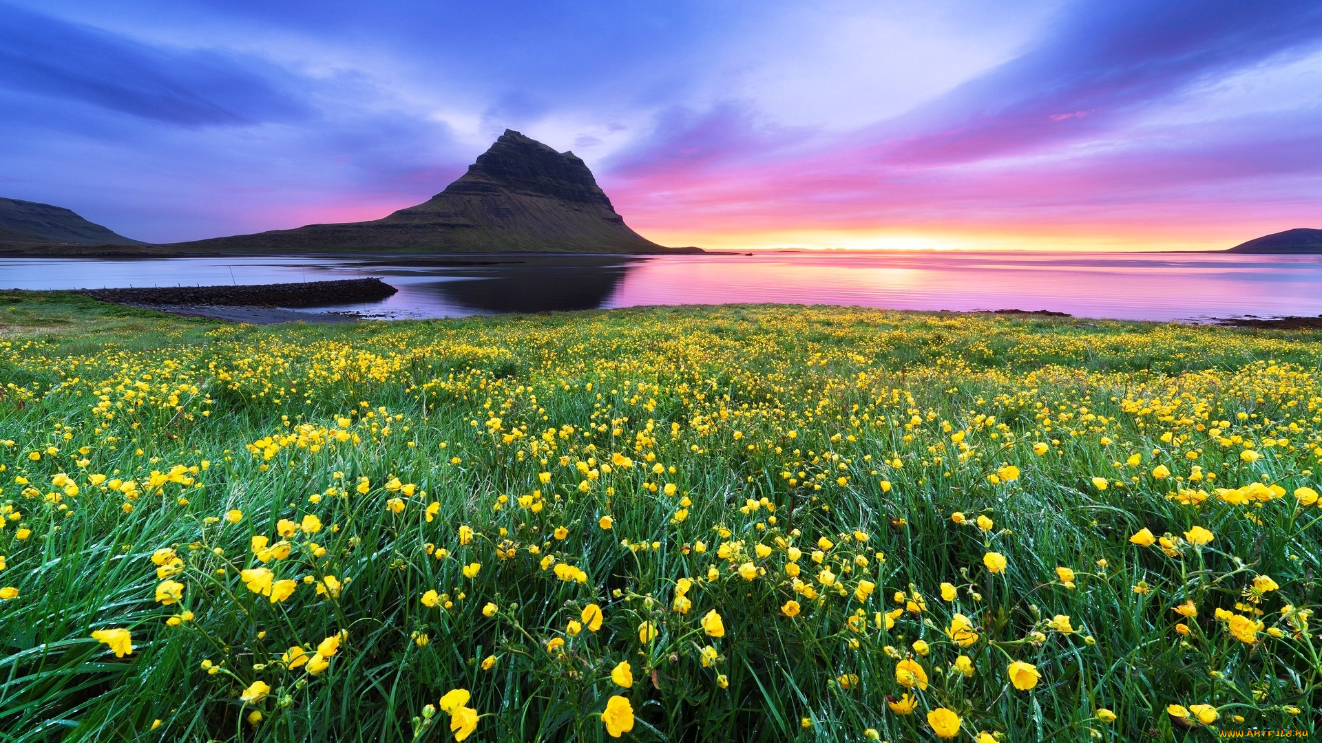 гора, киркьюфетль, , исландия, природа, побережье, горы, цветы, трава, луга, море, небо