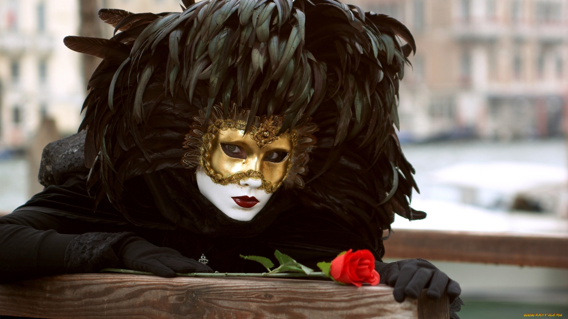 разное, маски, карнавальные, костюмы, венеция, черный, роза, перья
