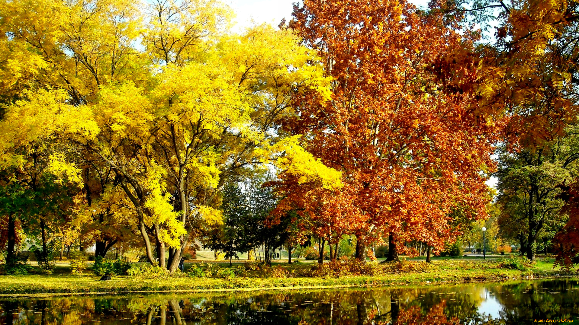 природа, парк, осень, трава, река, краски, кроны, деревья