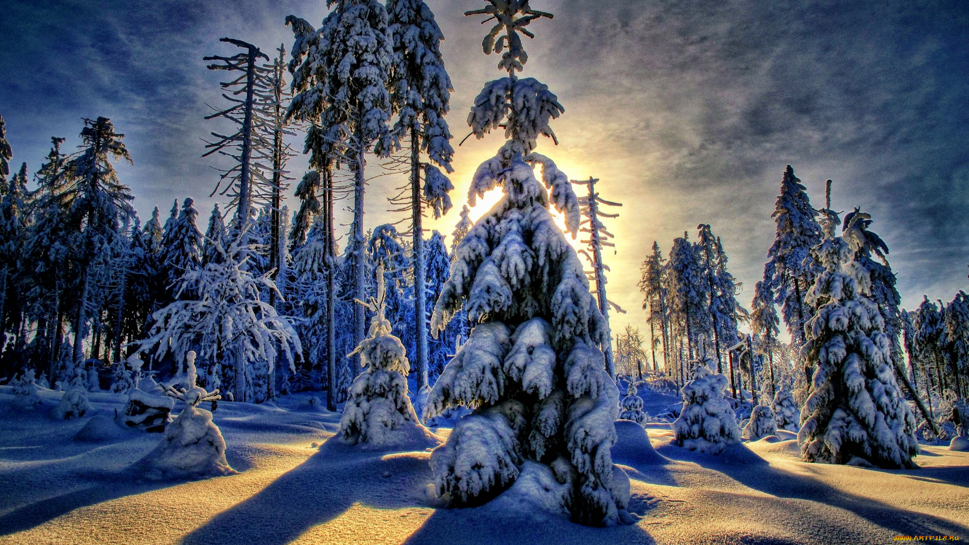 природа, зима, свет, снег, лес, ели, сугробы