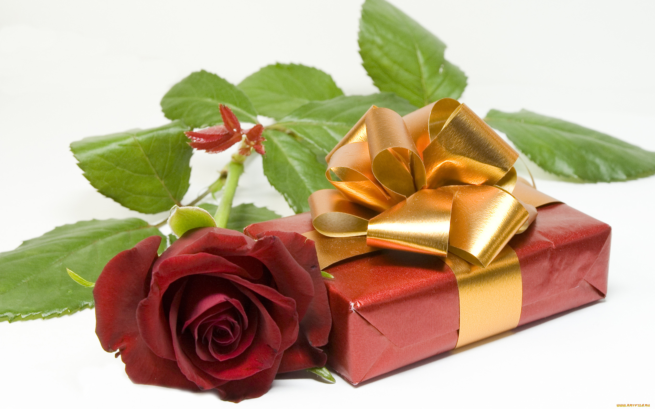 праздничные, подарки, коробочки, бантик, подарок, роза