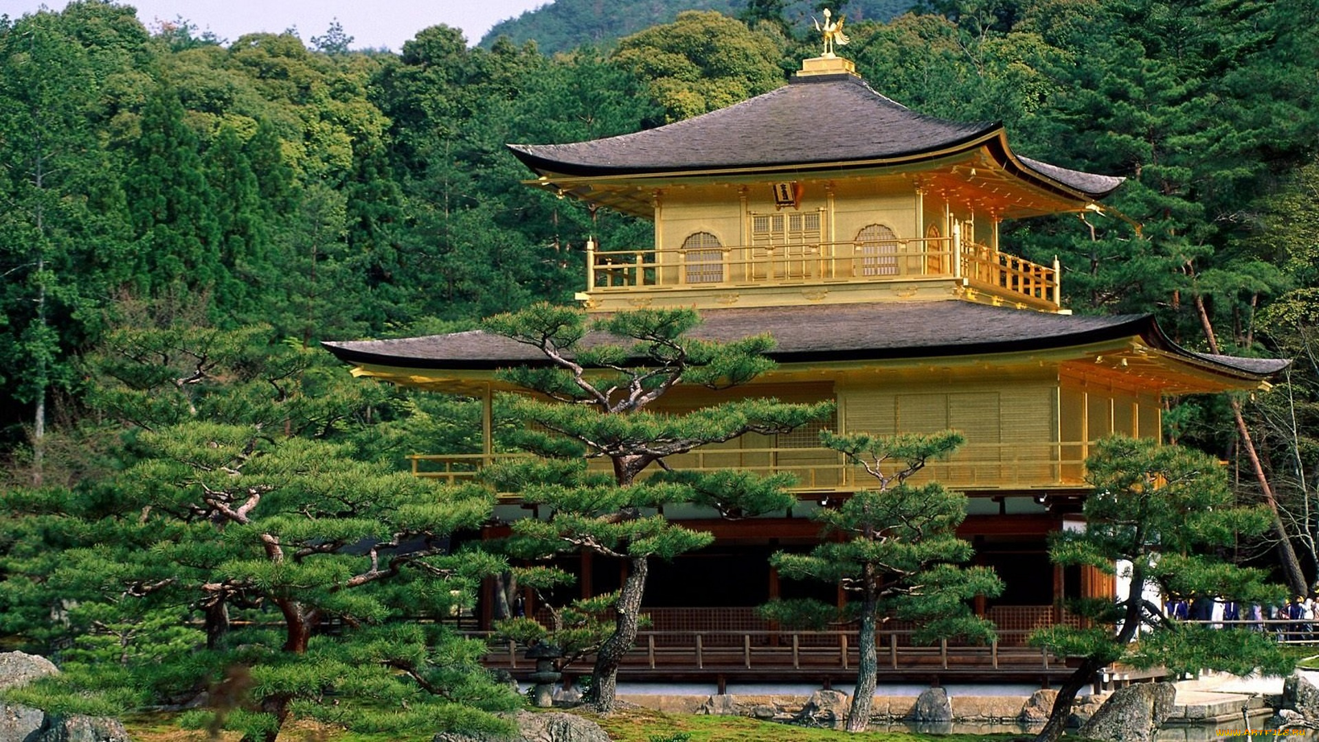 города, киото, , Япония, храм, пагода, камни, лес, деревья, киото