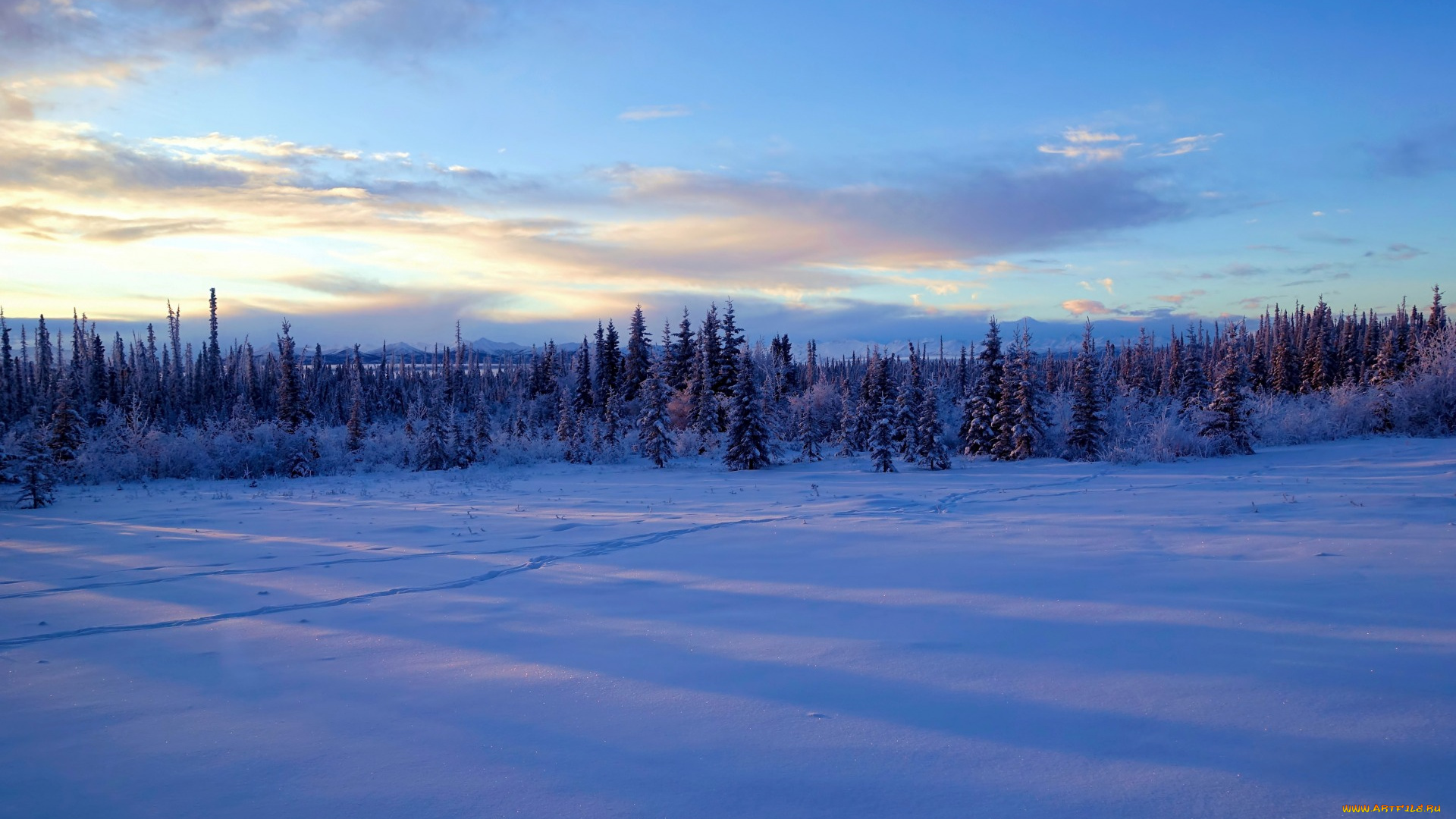 природа, зима, снег, деревья, аляска
