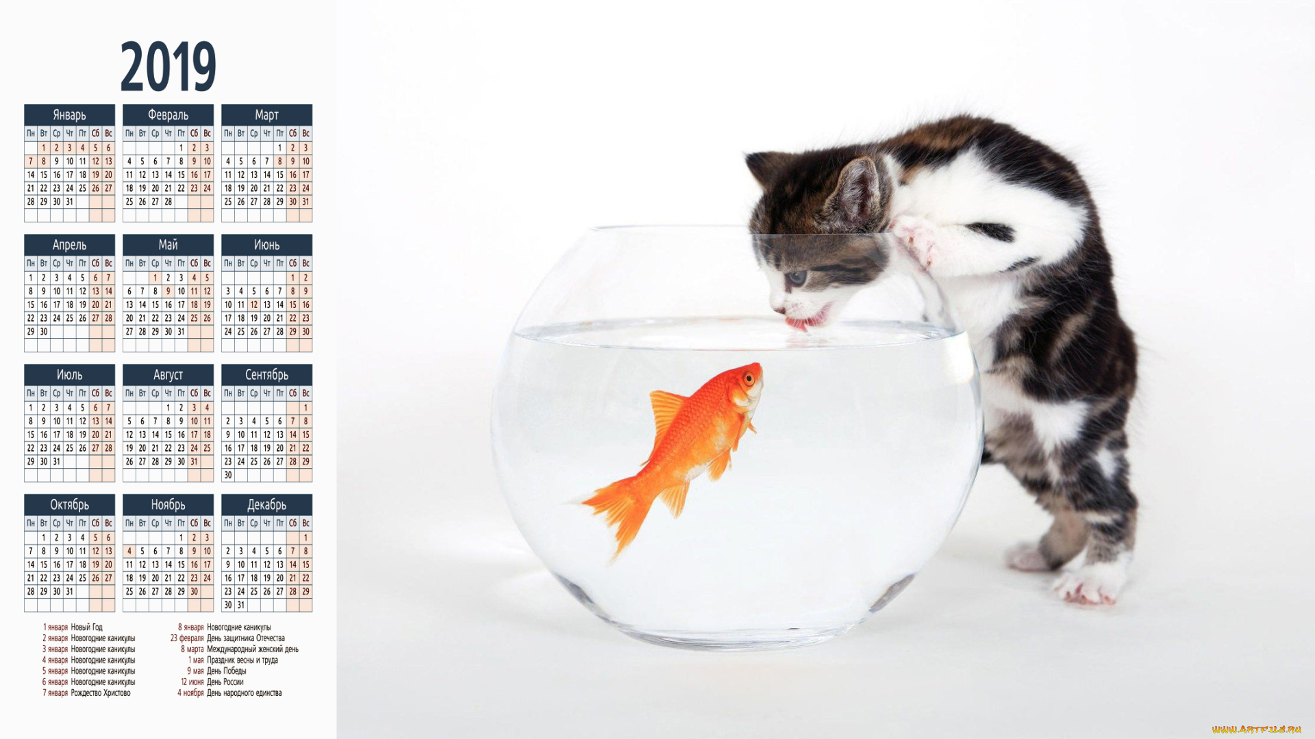 календари, компьютерный, дизайн, кот, аквариум, рыба, кошка