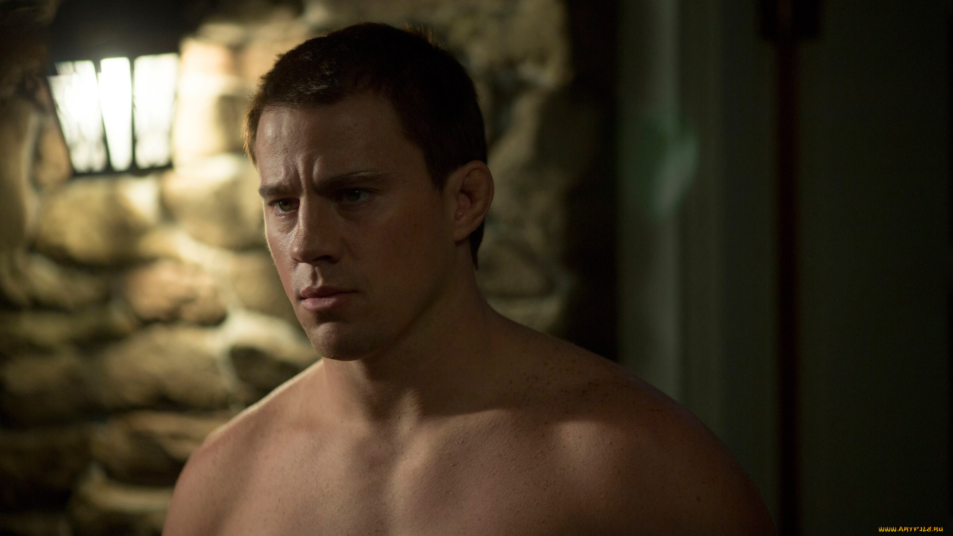 мужчины, channing, taturn, Ченнинг, татум, channing, tatum, foxcatcher, шатен, парень