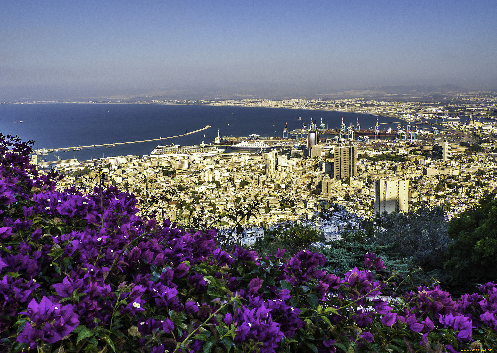 haifa, города, -, панорамы, простор