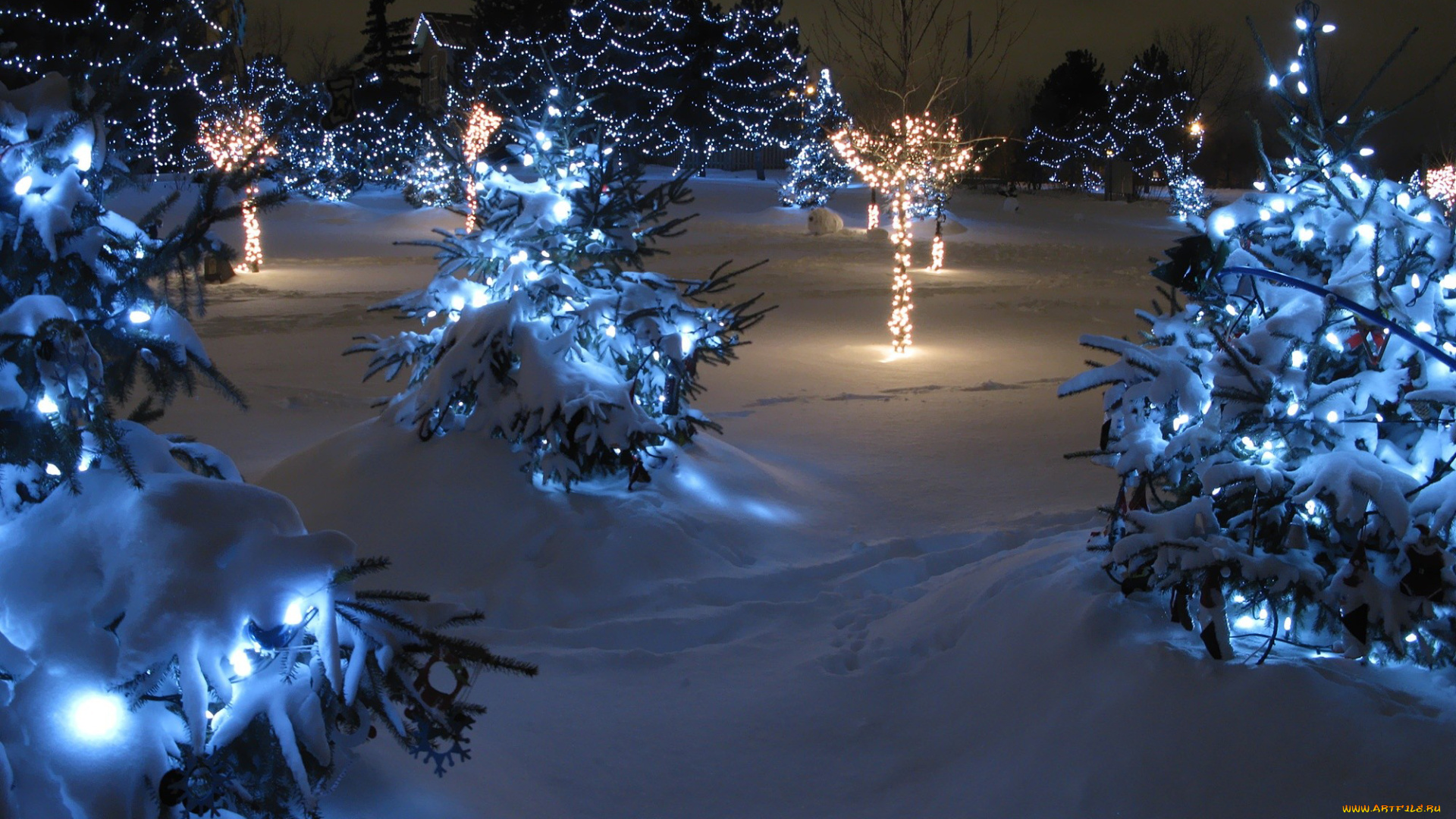 праздничные, Ёлки, снег, сугробы, елки, иллюминация