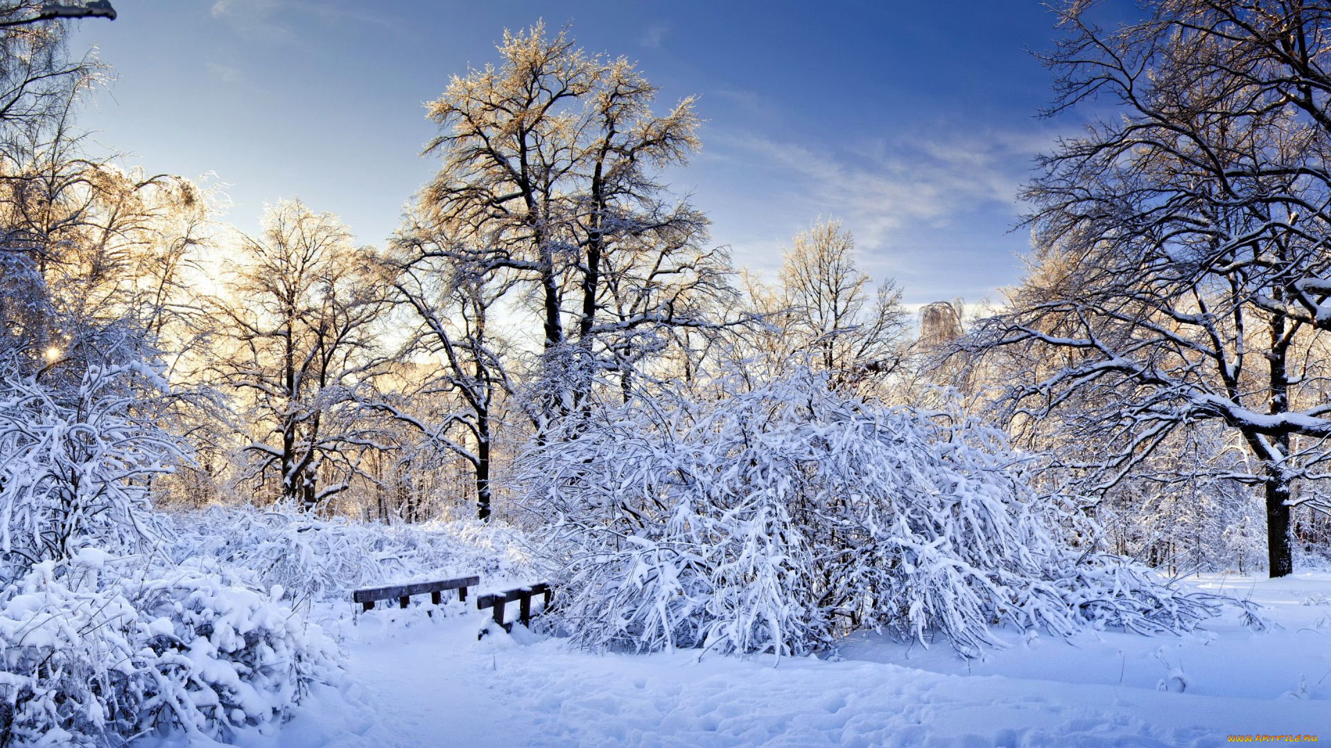 природа, зима, лес, снег, деревья, кусты, тропинка, мостик