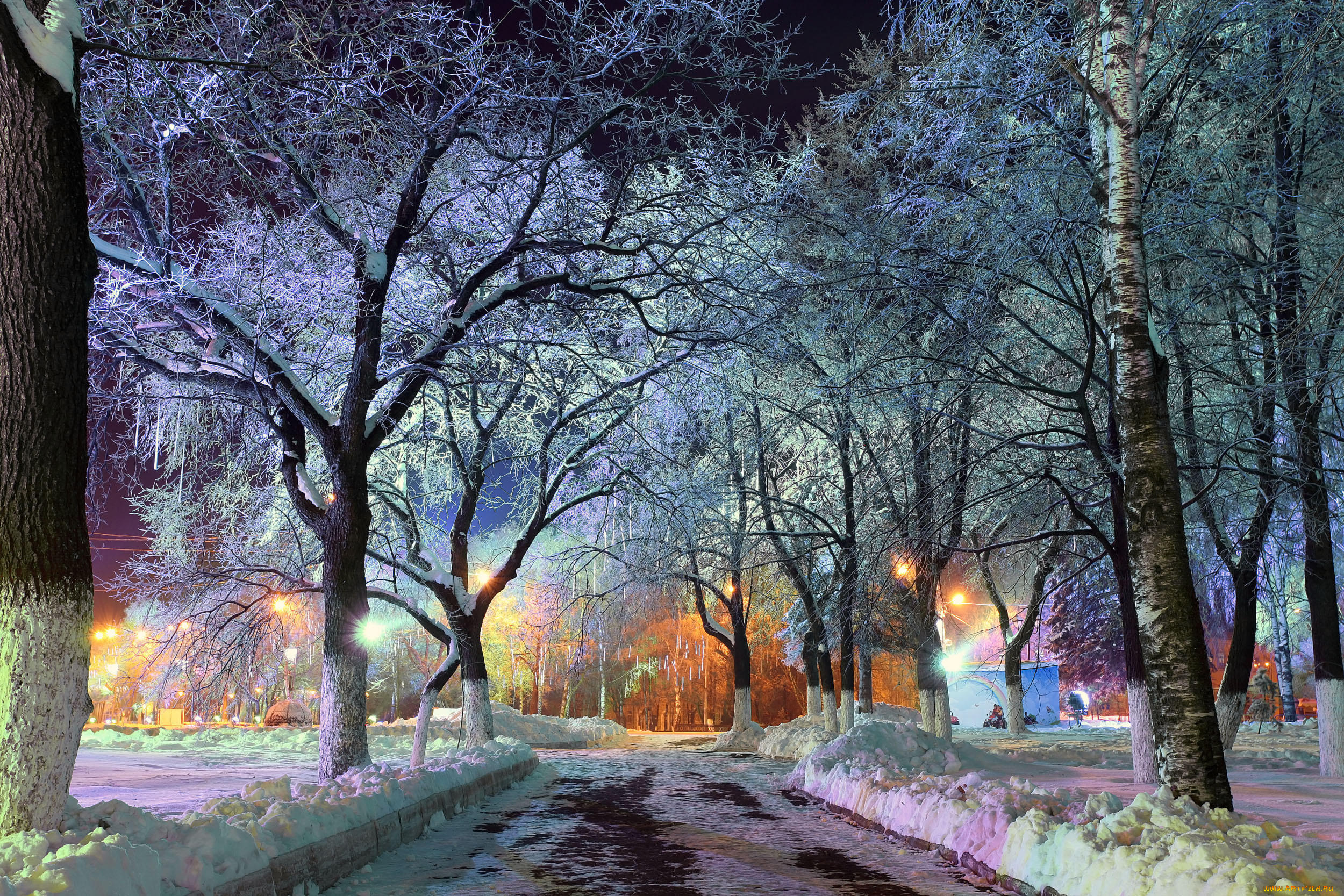 природа, зима, вечер, нью-йорк, иллюминация, центральный, парк, огни