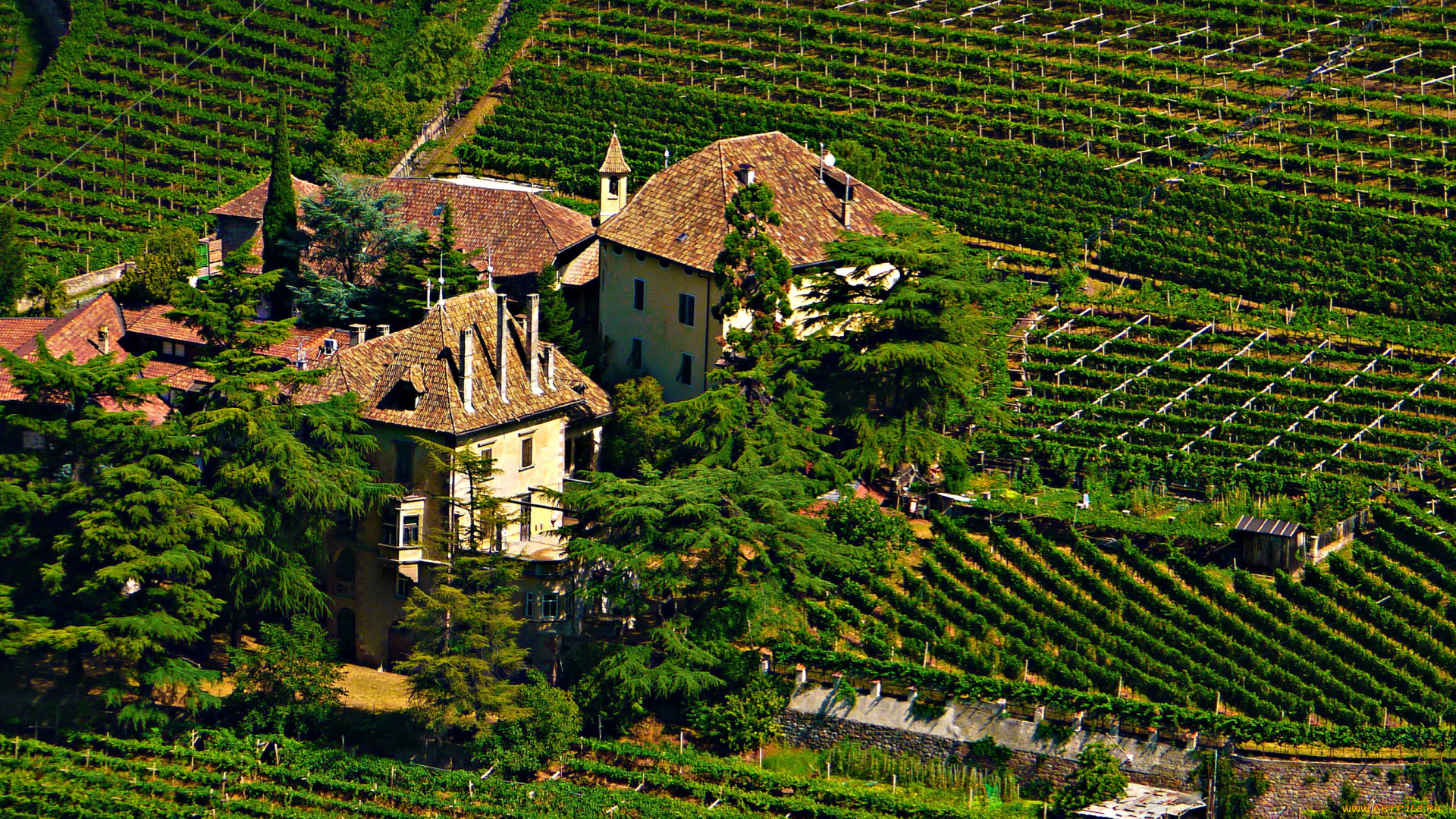 vinery, castle, , bolzano, италия, города, замки, италии, виноградники, bolzano, поля, замок, италия